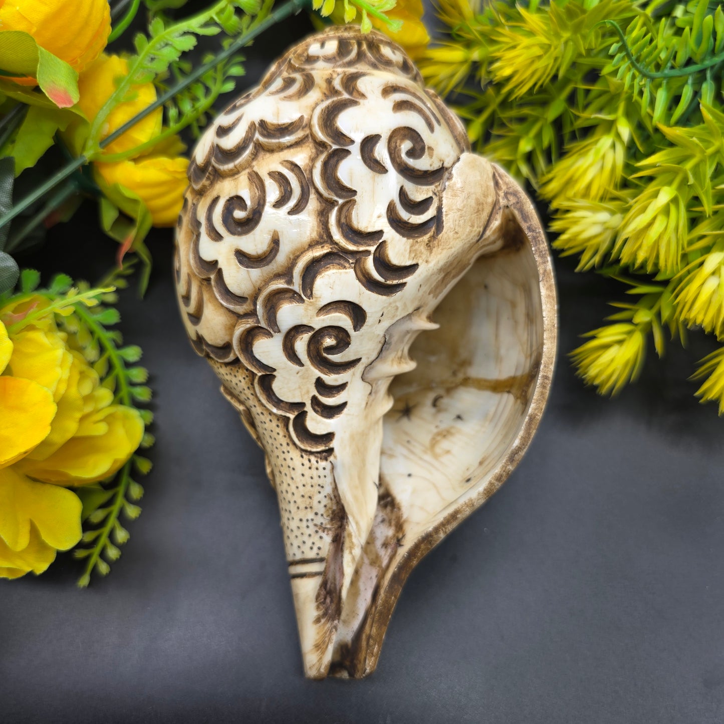 Vamavrati / Blowing Shankh With Beautiful Crafted Shiv Parivar 9 Inch