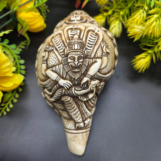 Vamavrati / Blowing Shankh With Beautiful Crafted Lord Narsingh Ji Big Size