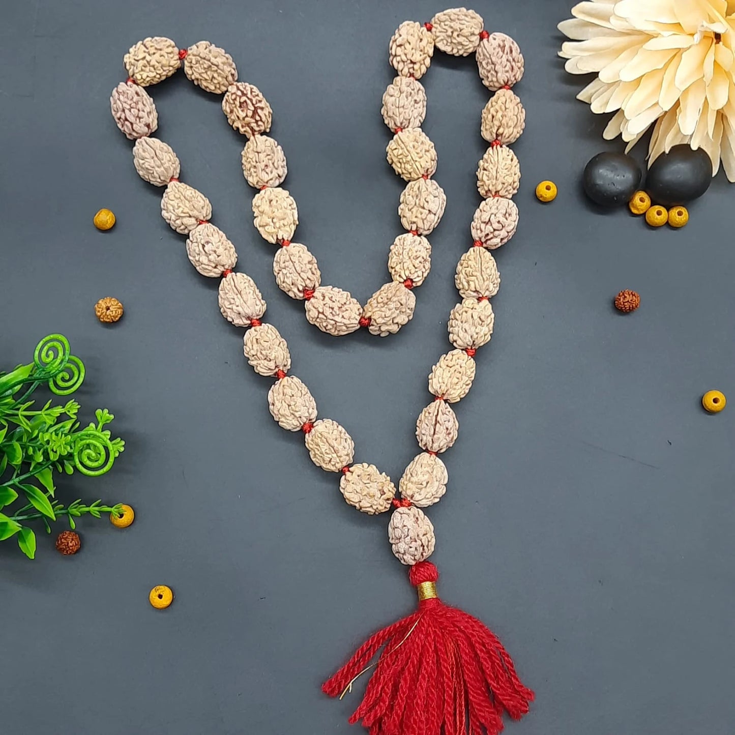 3 Mukhi / Three Face Himalayan Rudraksha Mala 32+1 Beads 19-21mm