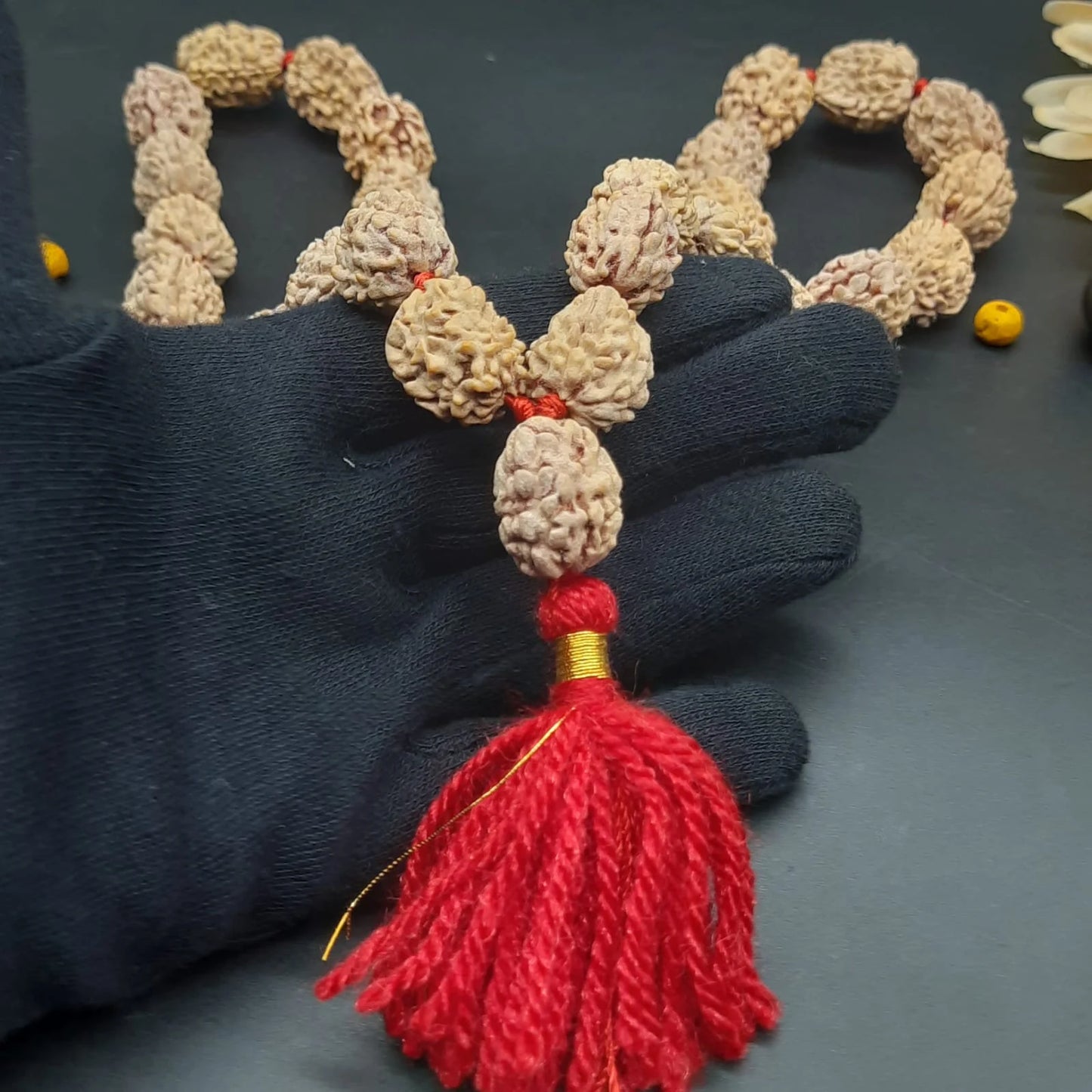 3 Mukhi / Three Face Himalayan Rudraksha Mala 32+1 Beads 19-21mm