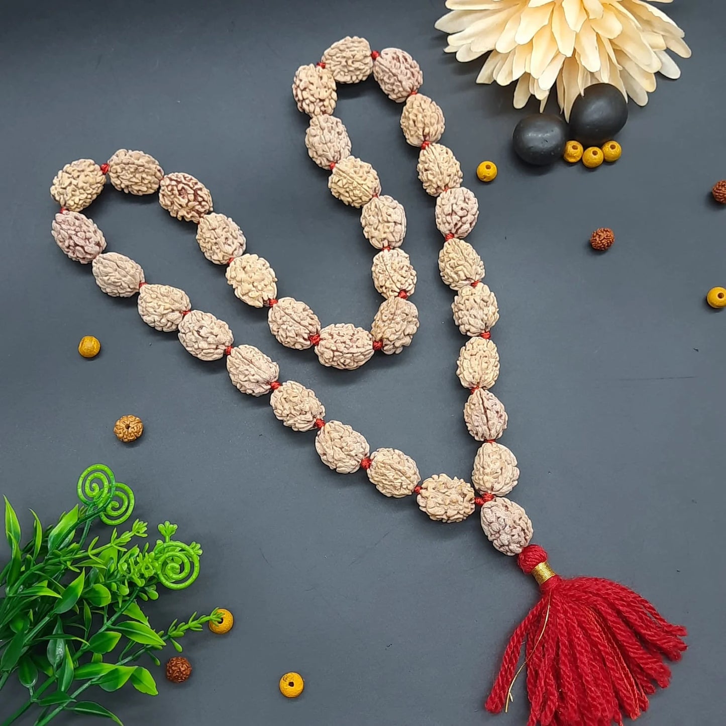 3 Mukhi / Three Face Himalayan Rudraksha Mala 32+1 Beads 19-21mm