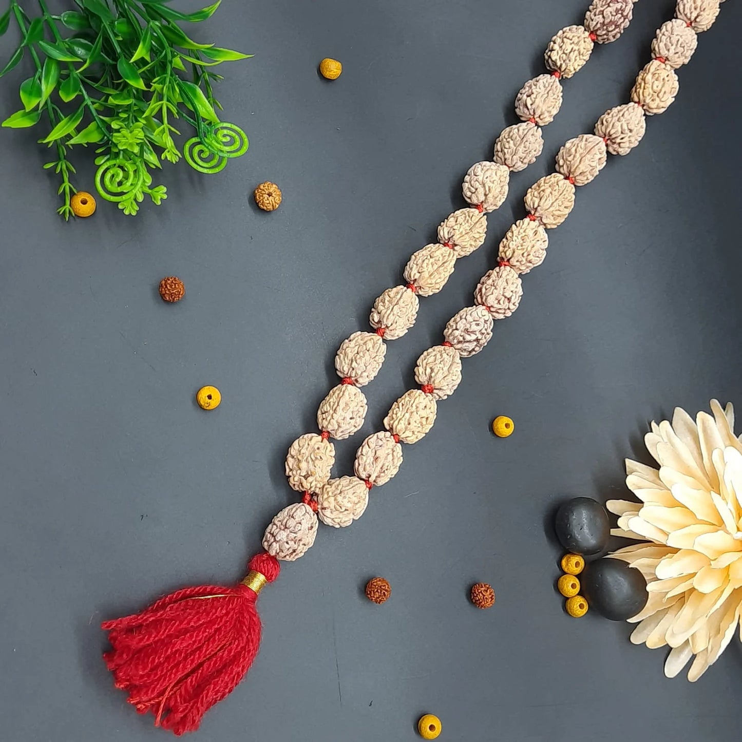 3 Mukhi / Three Face Himalayan Rudraksha Mala 32+1 Beads 19-21mm