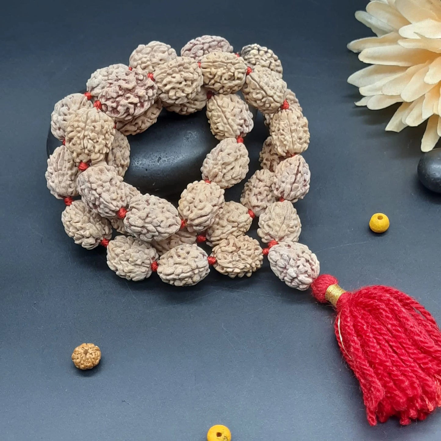 3 Mukhi / Three Face Himalayan Rudraksha Mala 32+1 Beads 19-21mm