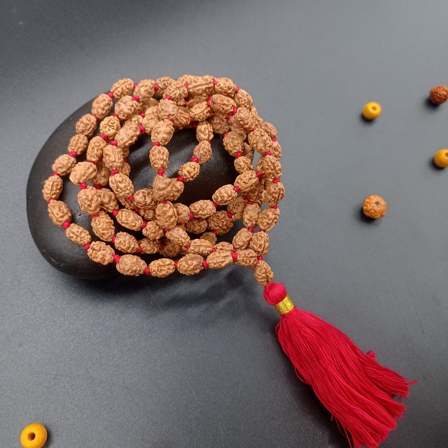 2 Mukhi / Two Face Java Rudraksha mala 108+1 Beads 8-10mm