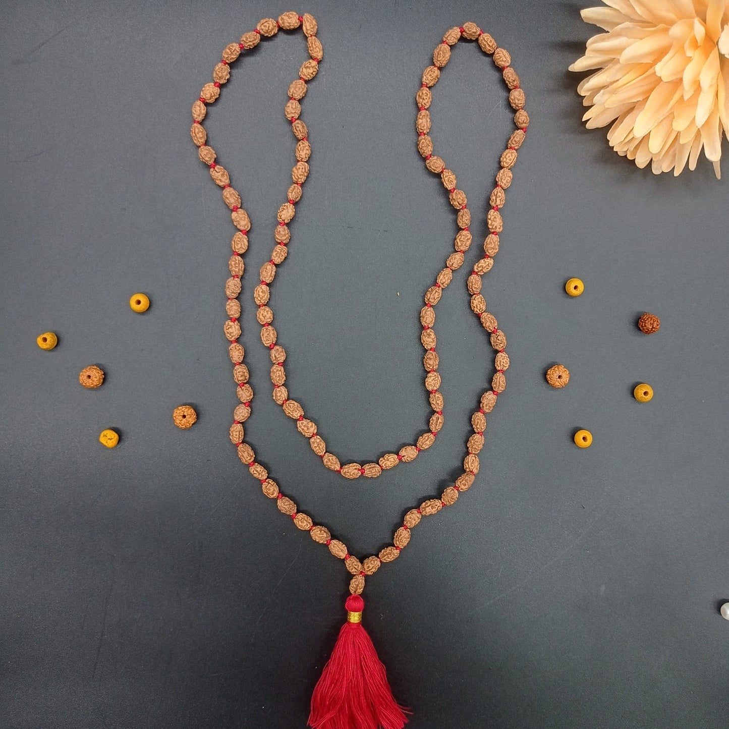 2 Mukhi / Two Face Java Rudraksha mala 108+1 Beads 8-10mm