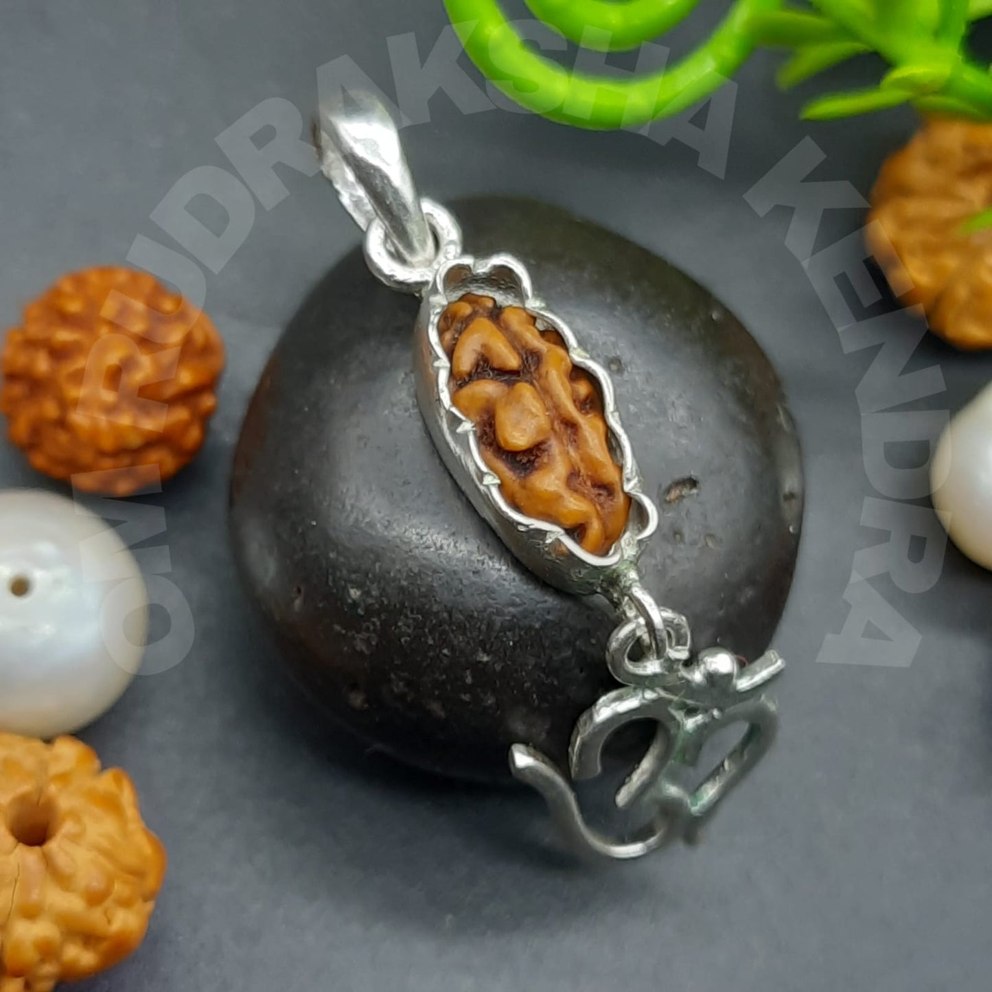 Ek Mukhi / One Face Java Rudraksha In Silver Pandent With Lab Certied