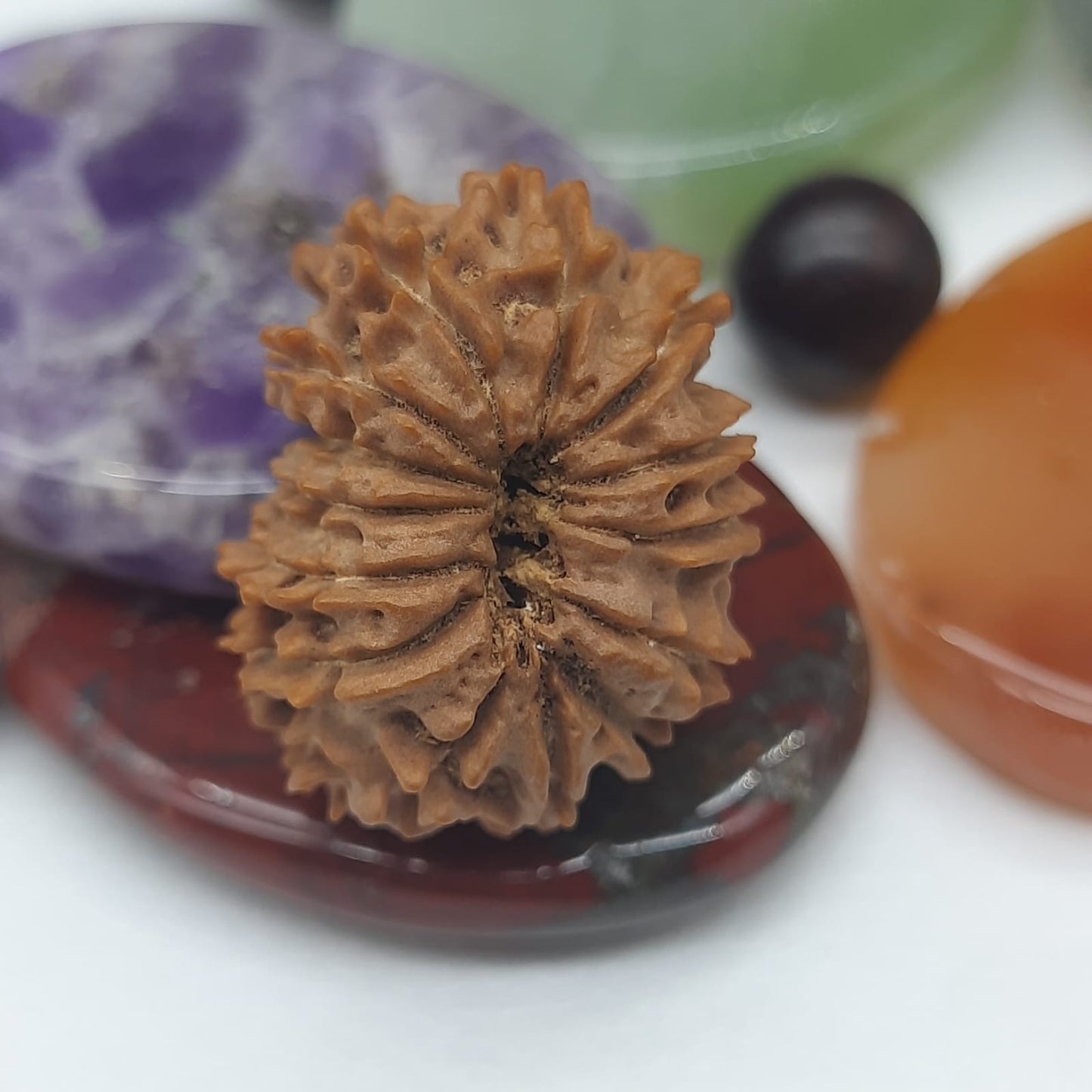 14 Mukhi / Fourteen Face Nepal Rudraksha 21-23 mm | Lab Certified