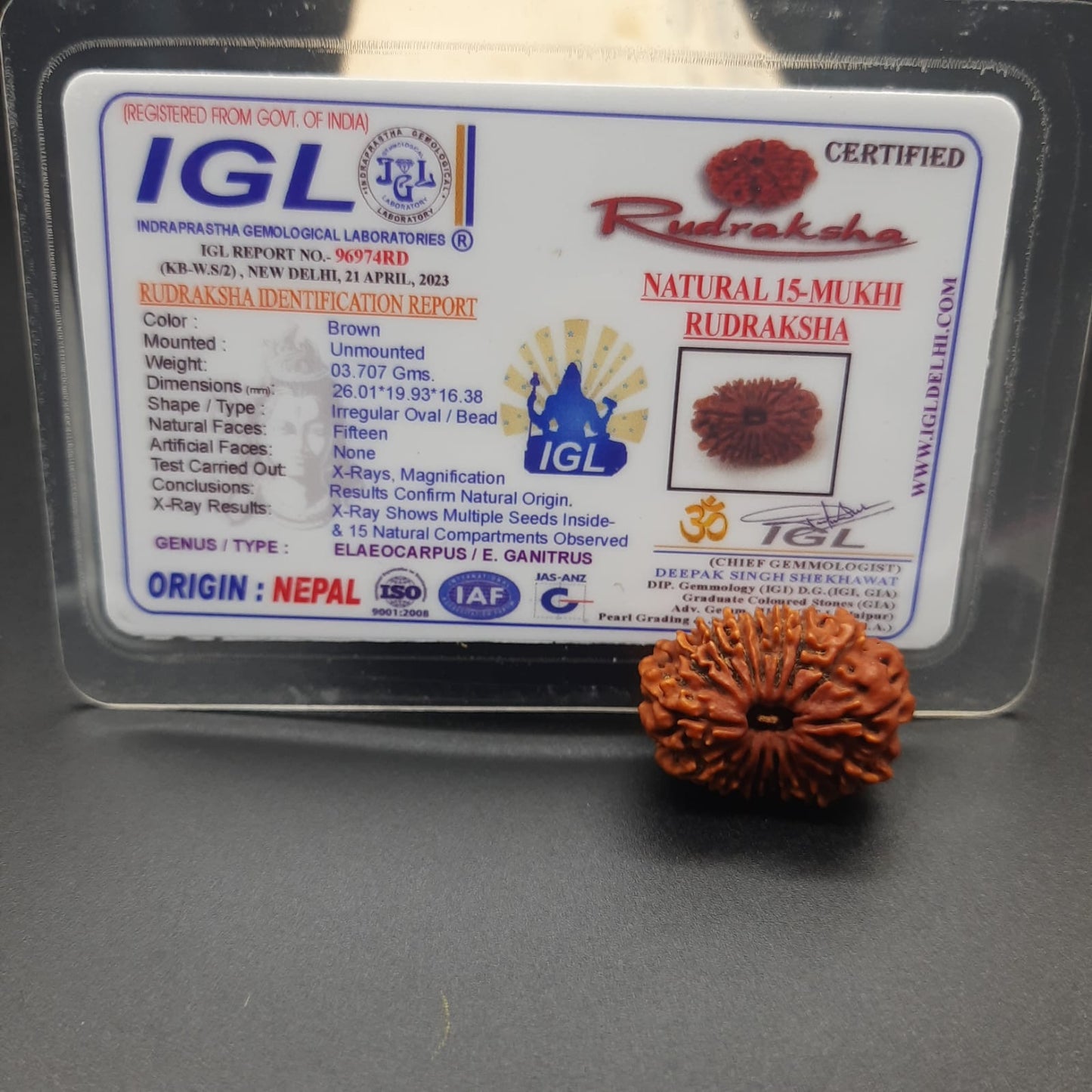 15 Mukhi / Fifteen Face Nepal Rudraksha 21-23 mm | Lab Certified
