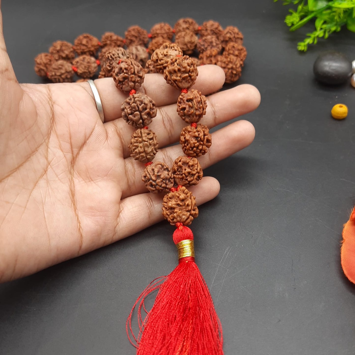 3 Mukhi / Three Face Rudraksha Mala From Nepal 54+1  Beads 15-17mm