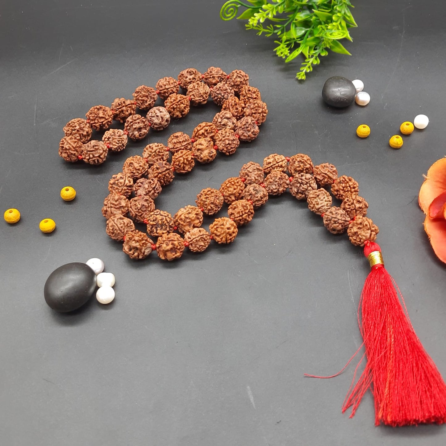 3 Mukhi / Three Face Rudraksha Mala From Nepal 54+1  Beads 15-17mm