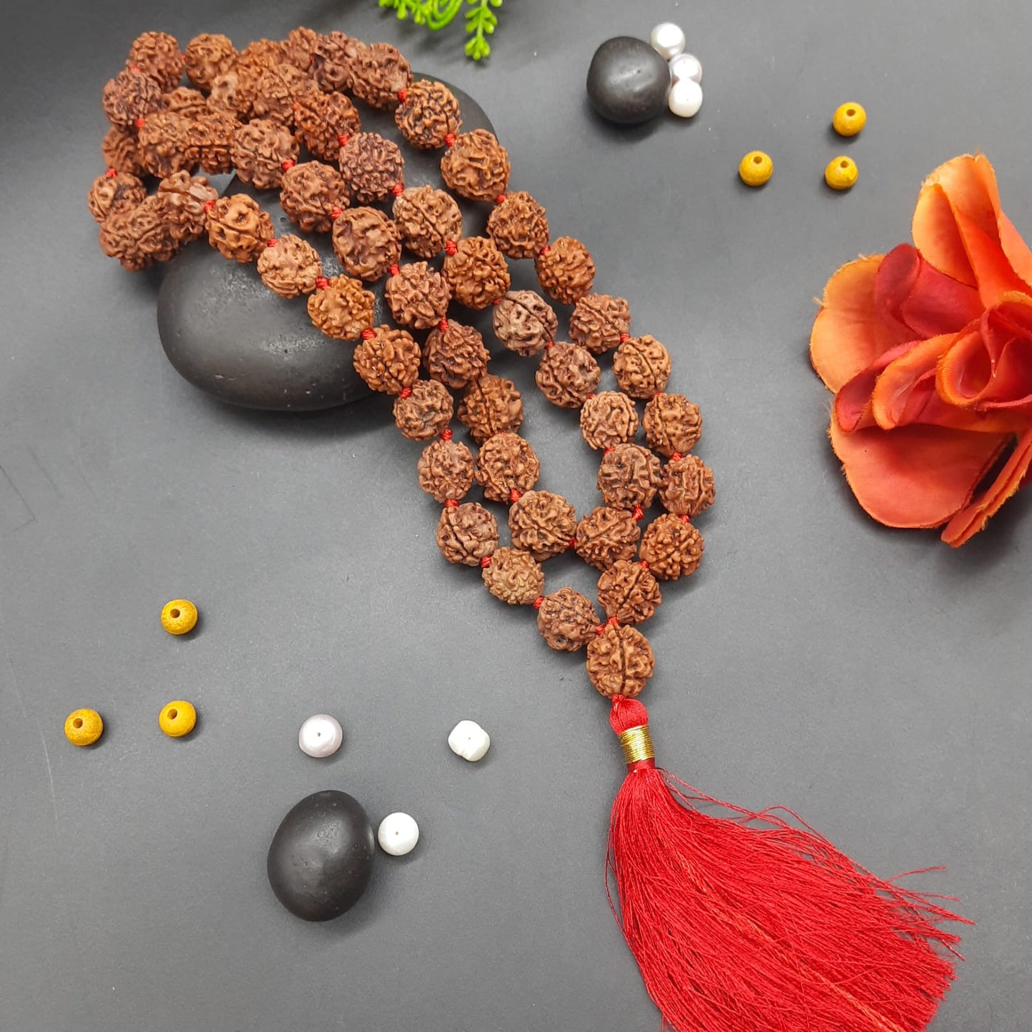 3 Mukhi / Three Face Rudraksha Mala From Nepal 54+1  Beads 15-17mm