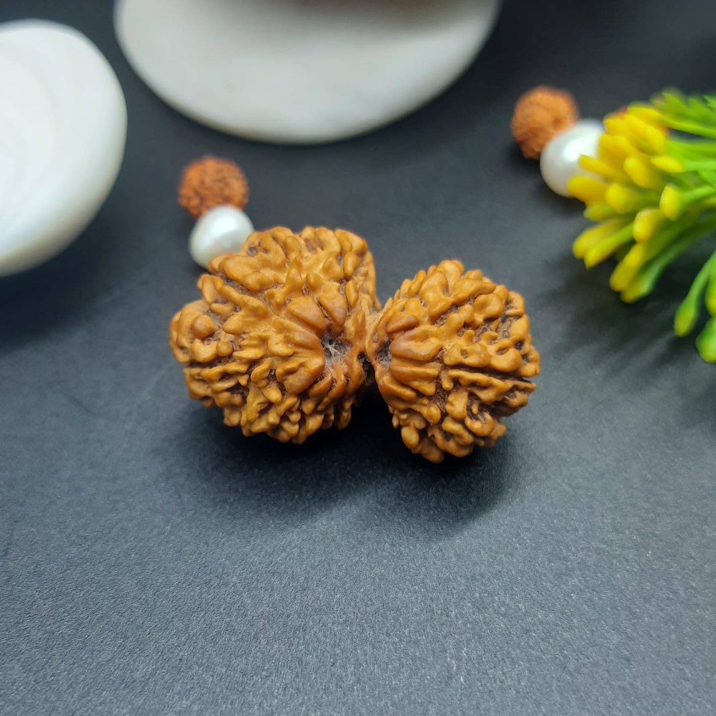 14 Mukhi / Fourteen Face Gauri Shankar Nepal Rudraksha