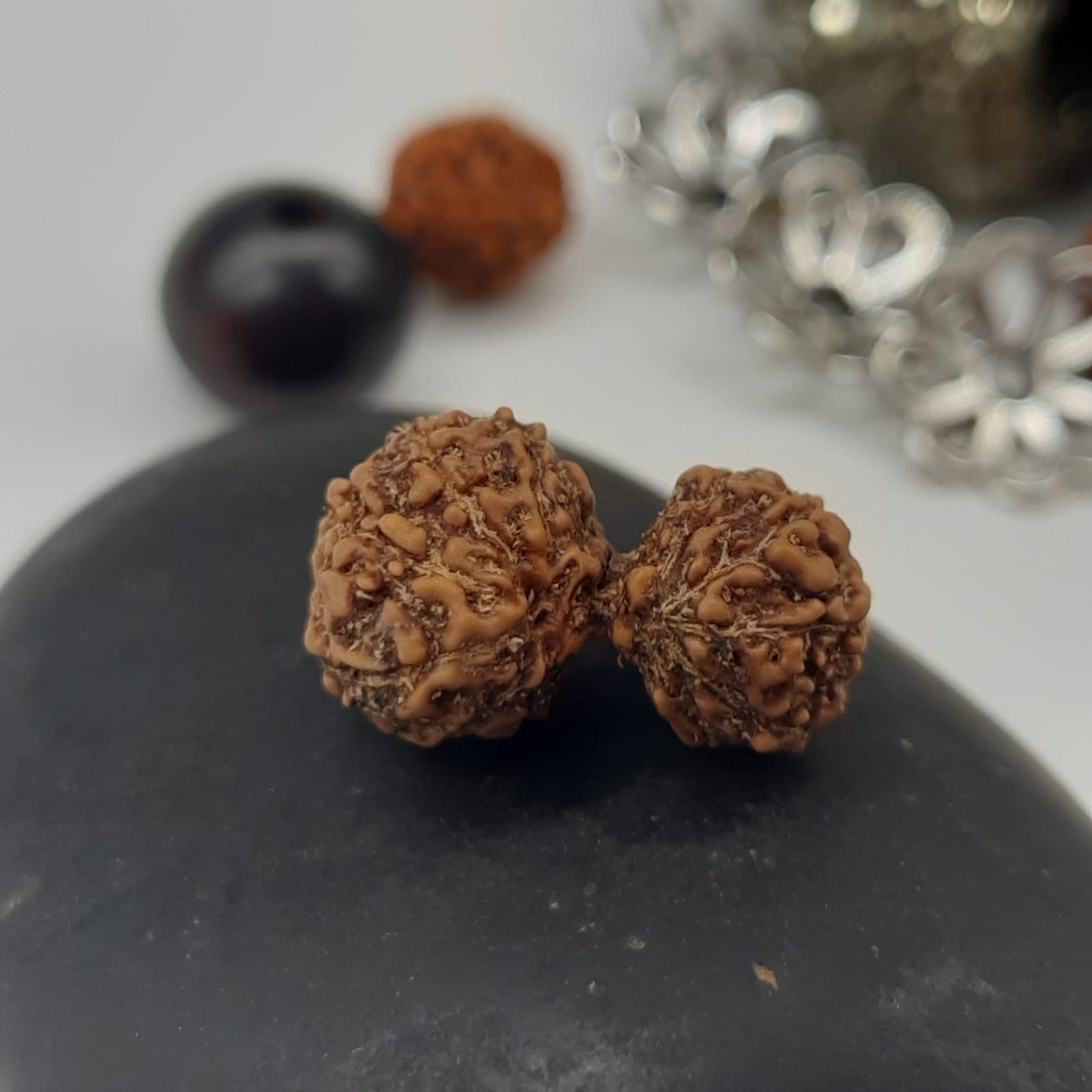 14 Mukhi / Fourteen Face GauriShankar Java Rudraksha