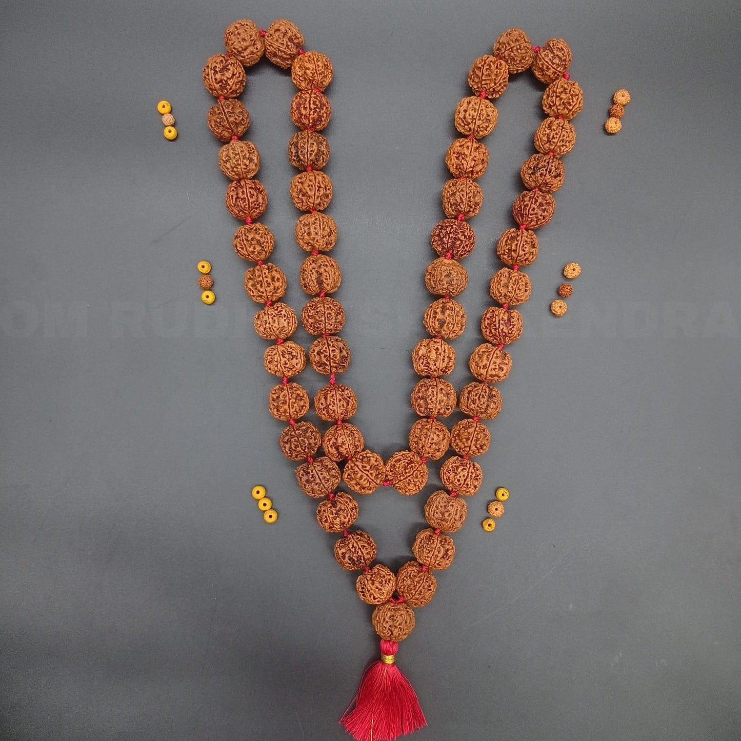 6 Mukhi / Six Face Rudraksha Kantha Mala Nepal 54+1 Beads 22-24mm