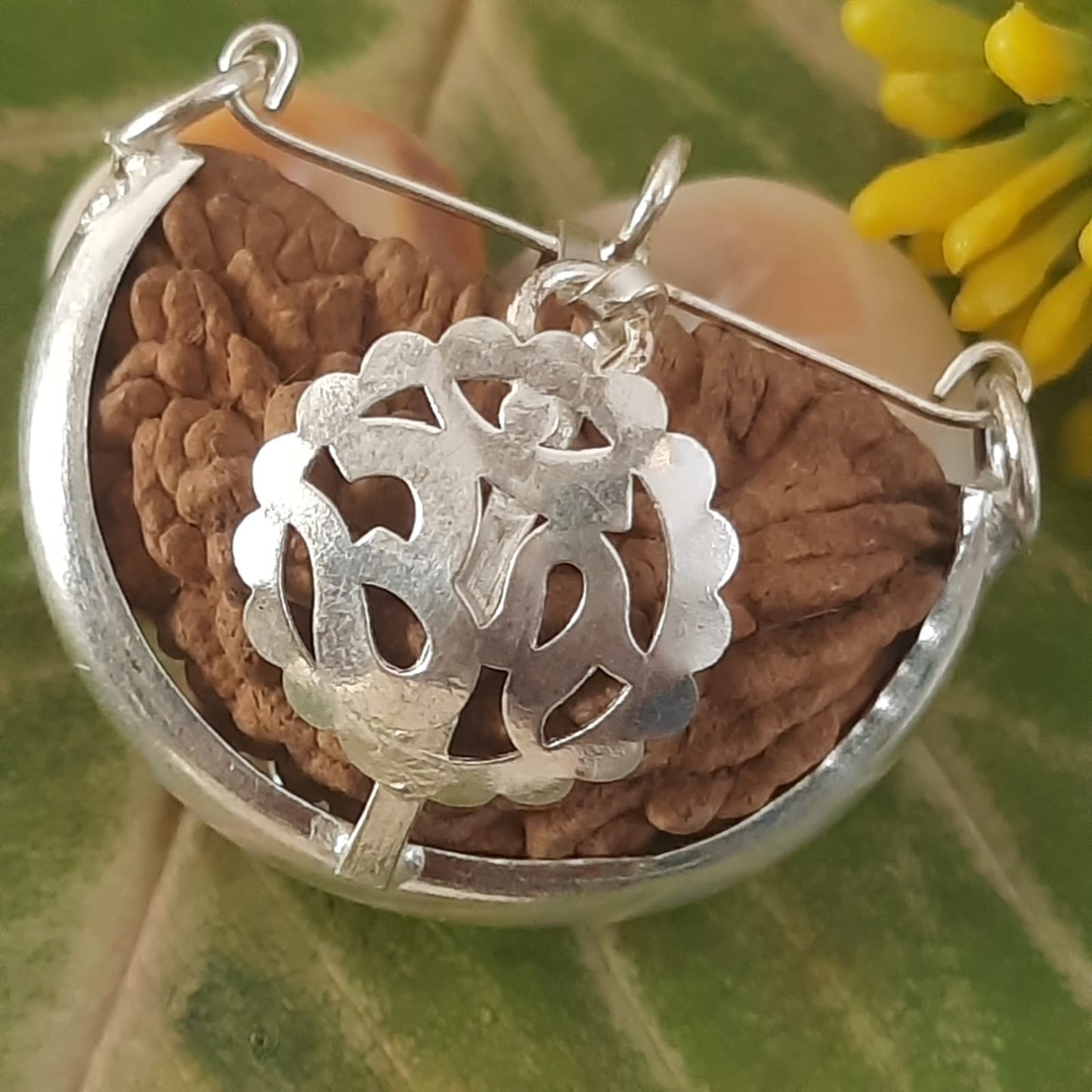 Ek Mukhi Kaju / One Face Halfmoon Rudraksha (South India)