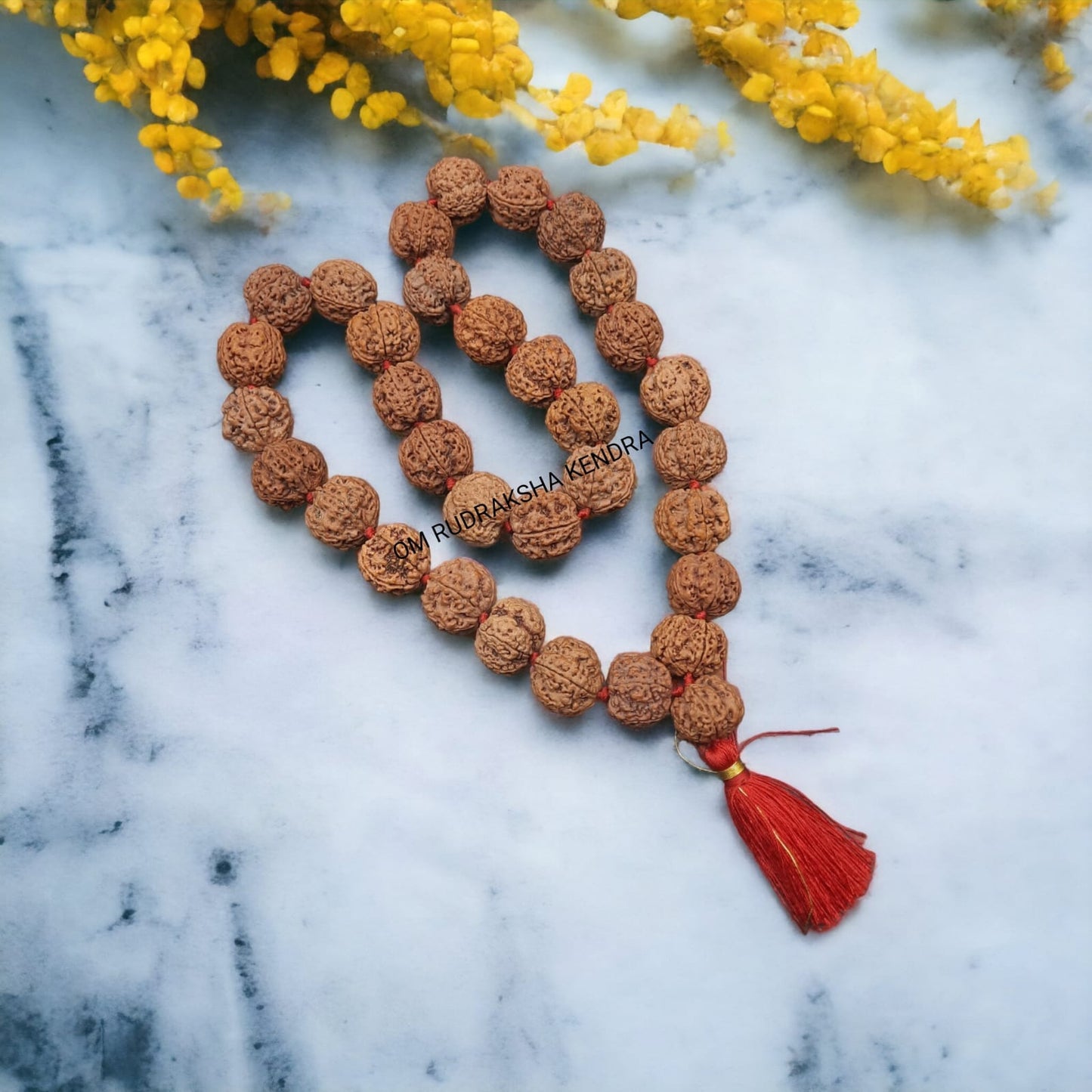 5 Mukhi  / Five Face Big / Ambla Size Rudraksha Beads Mala Nepal 32+1 beads 25-26mm