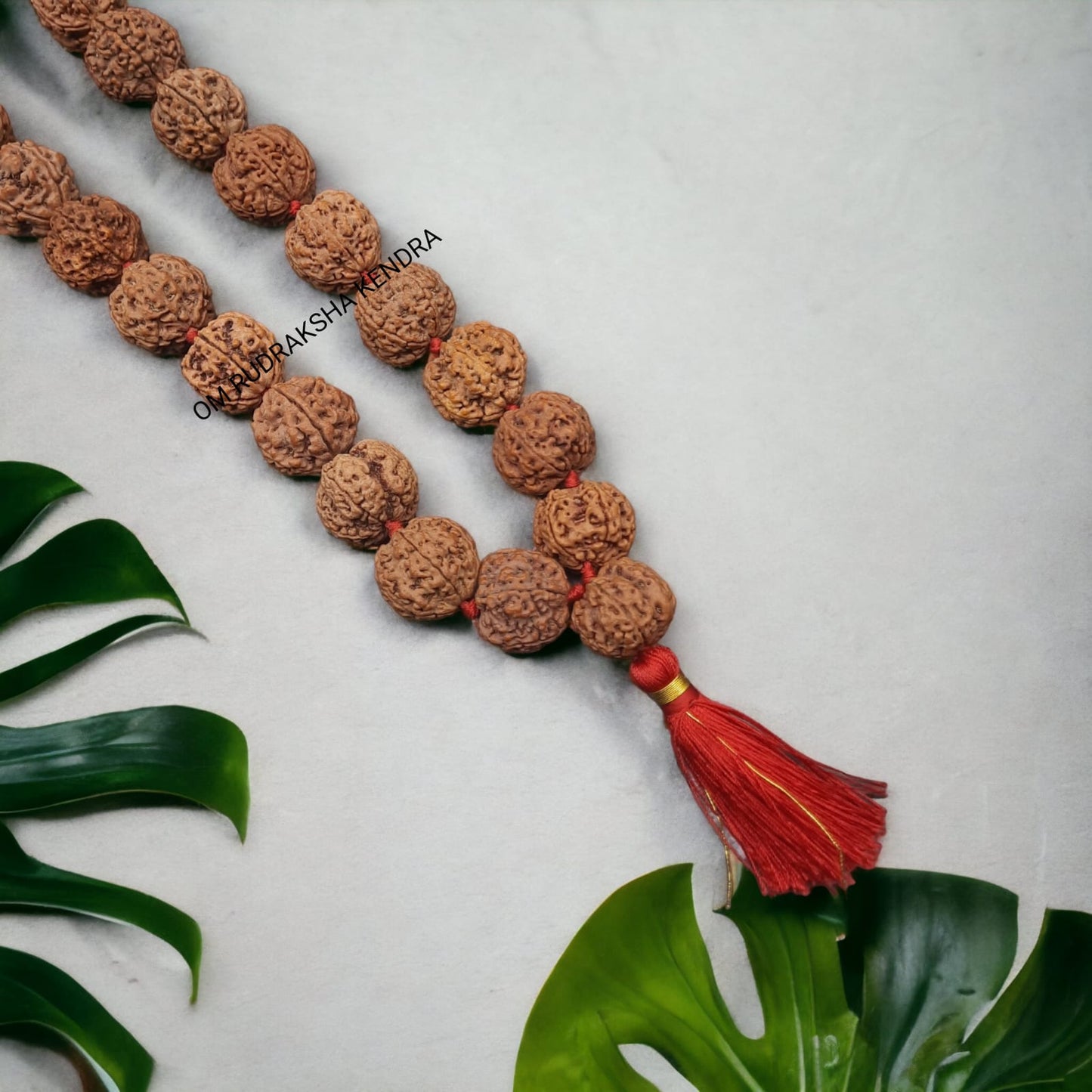 5 Mukhi  / Five Face Big / Ambla Size Rudraksha Beads Mala Nepal 32+1 beads 25-26mm