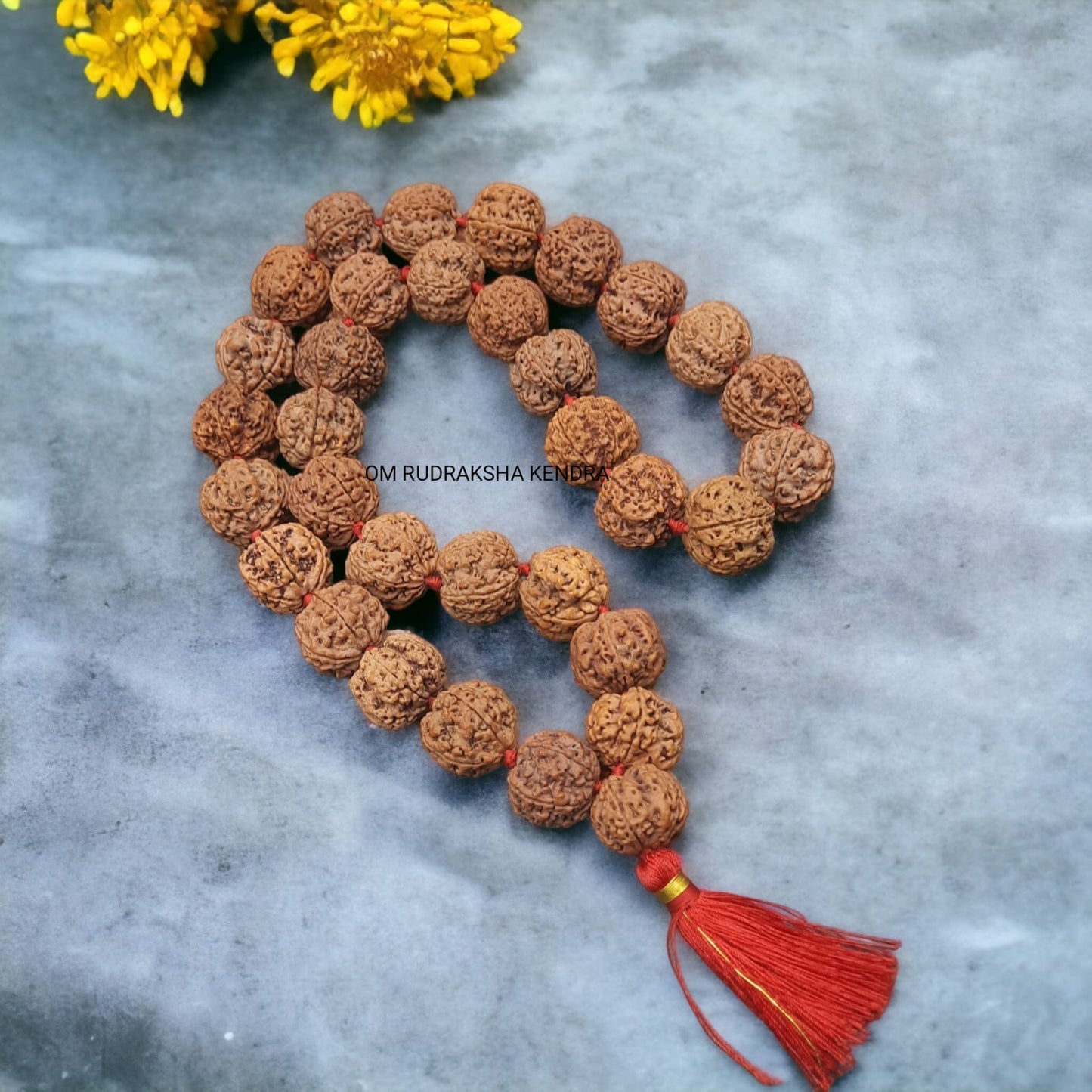 5 Mukhi  / Five Face Big / Ambla Size Rudraksha Beads Mala Nepal 32+1 beads 25-26mm