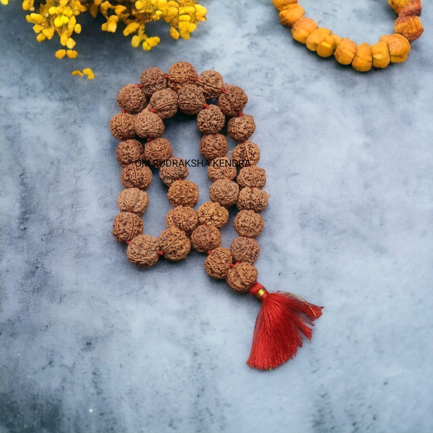 5 Mukhi  / Five Face Big / Ambla Size Rudraksha Beads Mala Nepal 32+1 beads 25-26mm