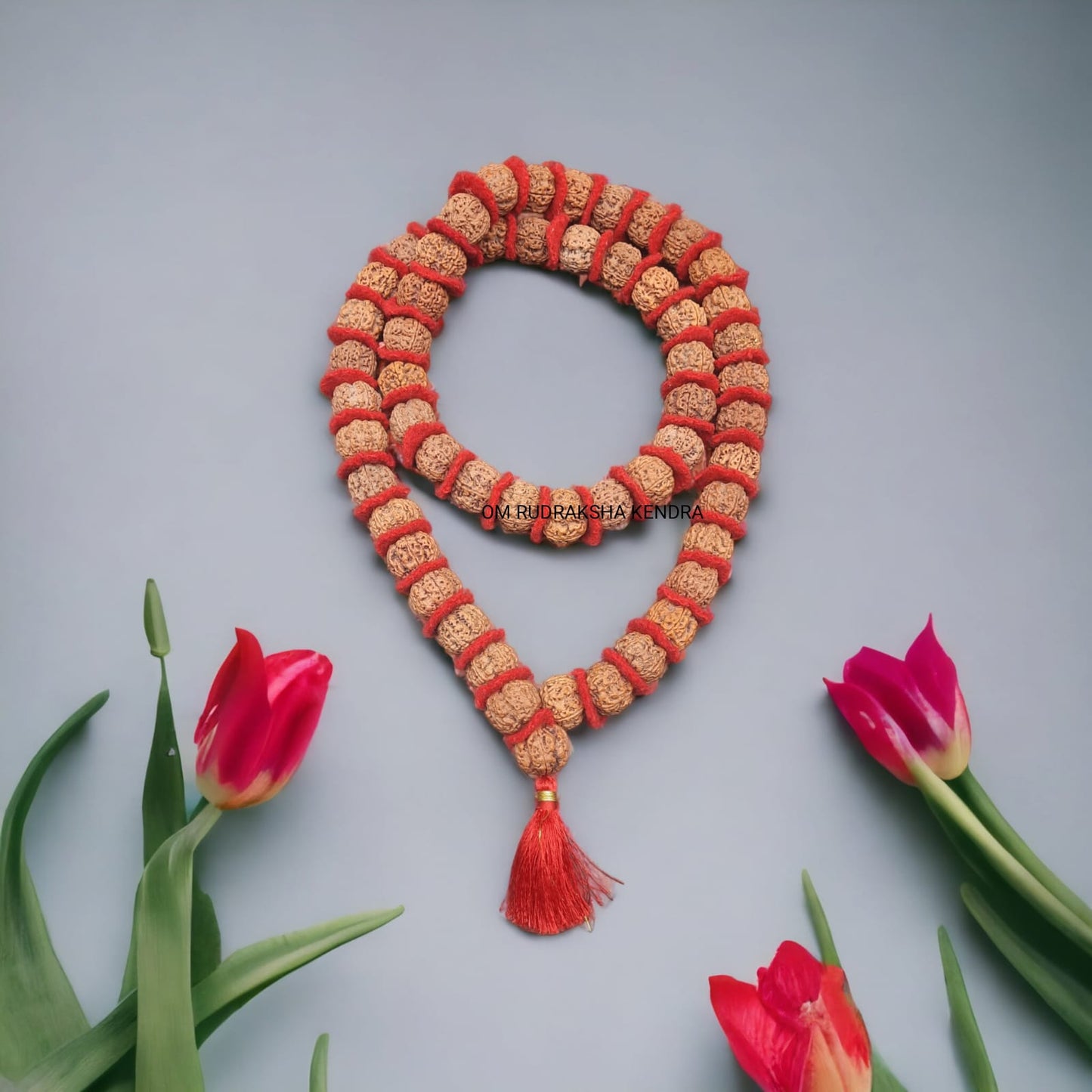 Side angle view of big size Five Mukhi Rudraksha kantha mala