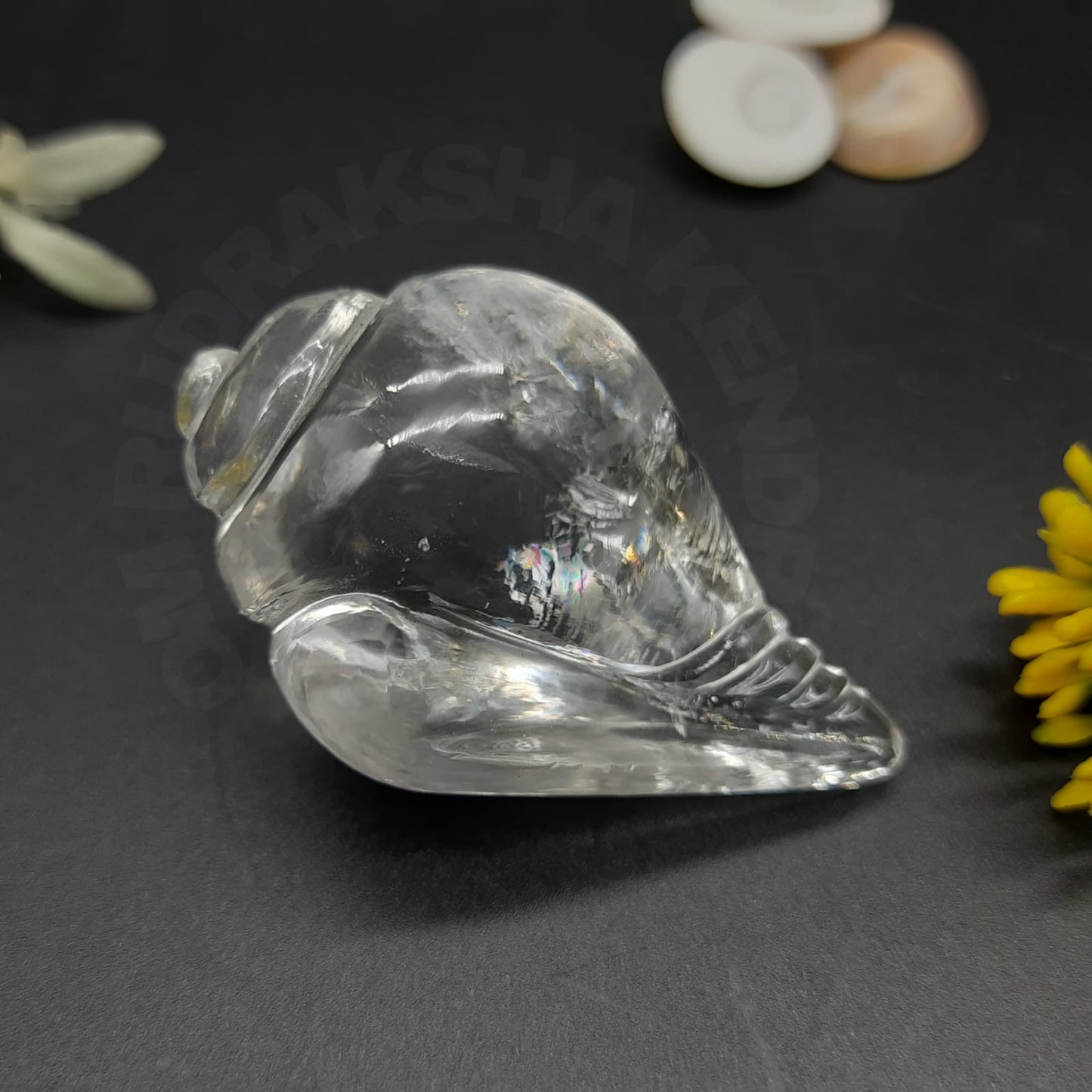 Sphatik / Clear Quartz Shankh For Pooja Mandir