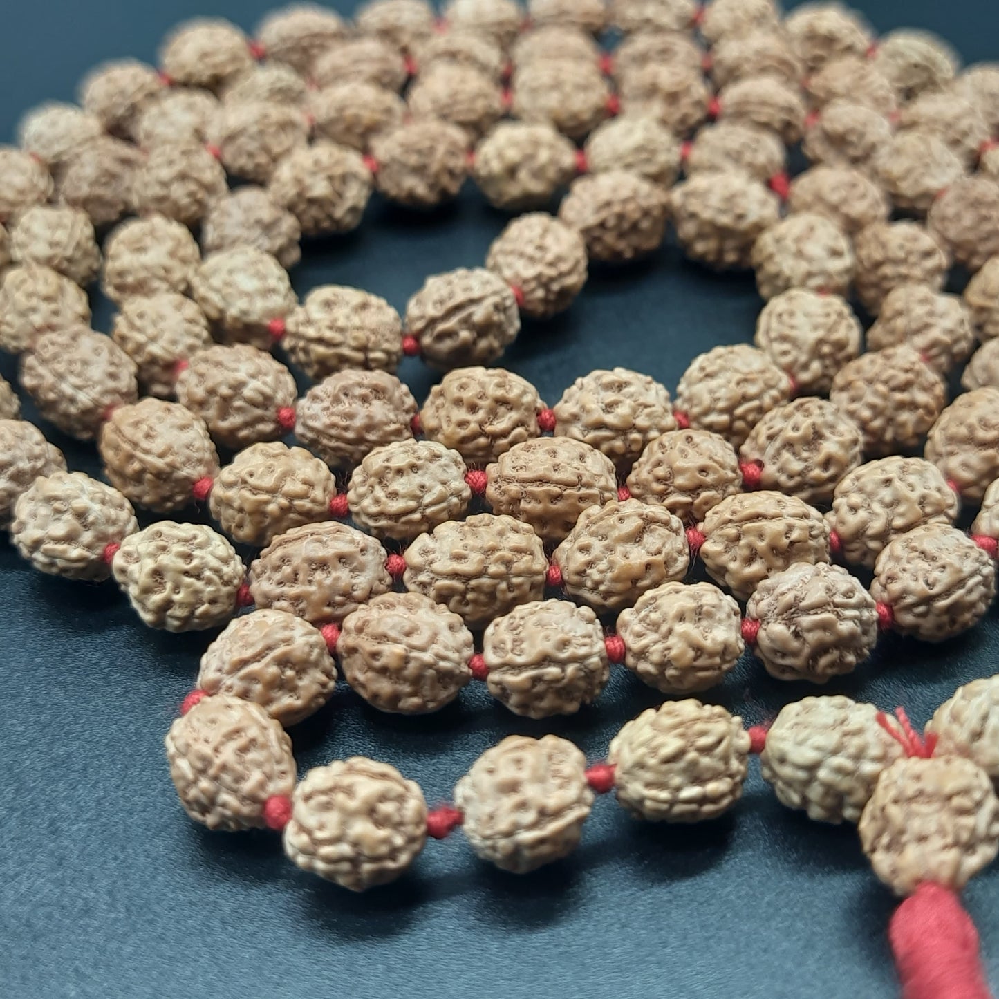 4 Mukhi / Four Face Java Rudraksha Mala 108+1 Beads 8-9mm
