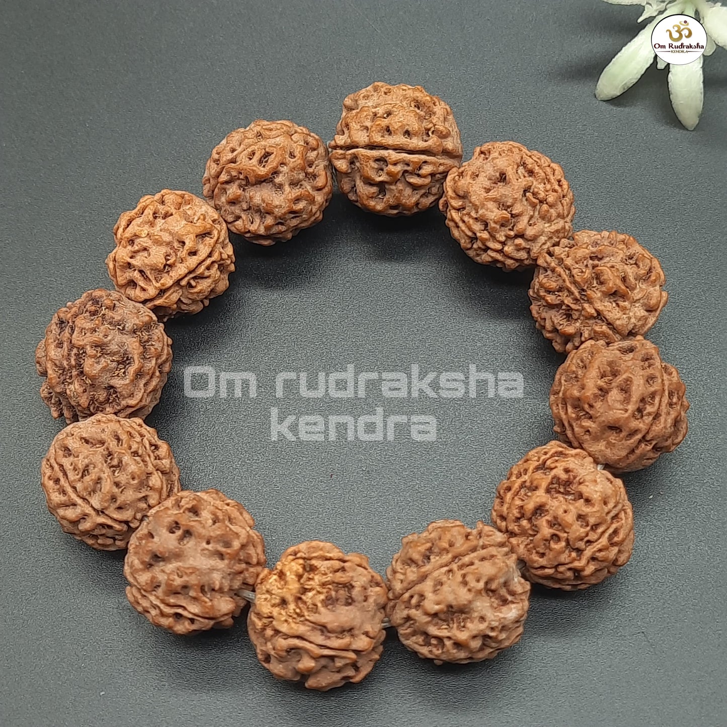 4 Mukhi Four Face Rudraksha Bracelet From Nepal in Elastic - Spiritual Healing & Clarity | 17-19mm