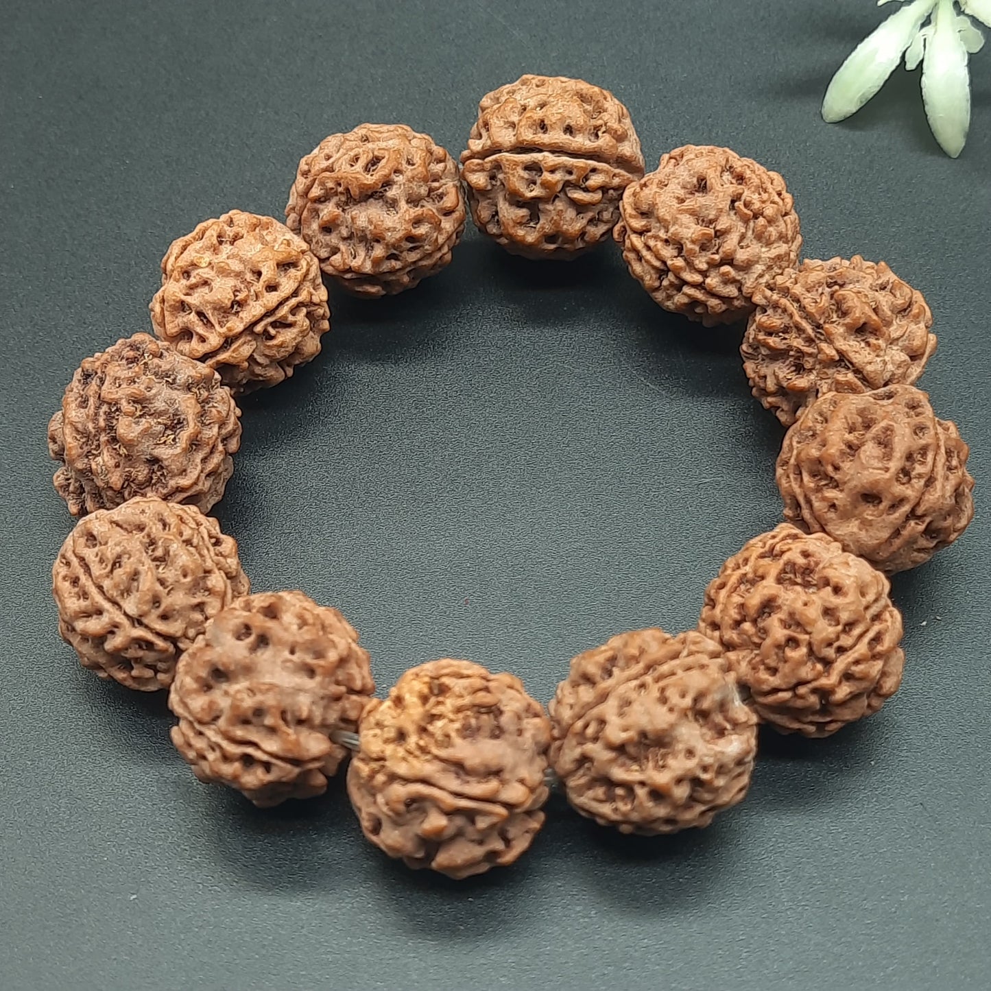 4 Mukhi Four Face Rudraksha Bracelet From Nepal in Elastic - Spiritual Healing & Clarity | 17-19mm