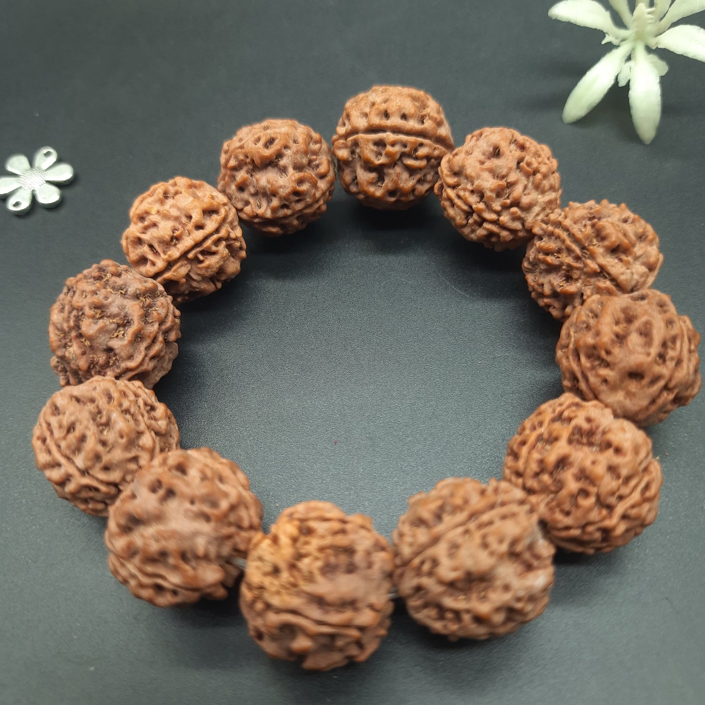 4 Mukhi Four Face Rudraksha Bracelet From Nepal in Elastic - Spiritual Healing & Clarity | 17-19mm