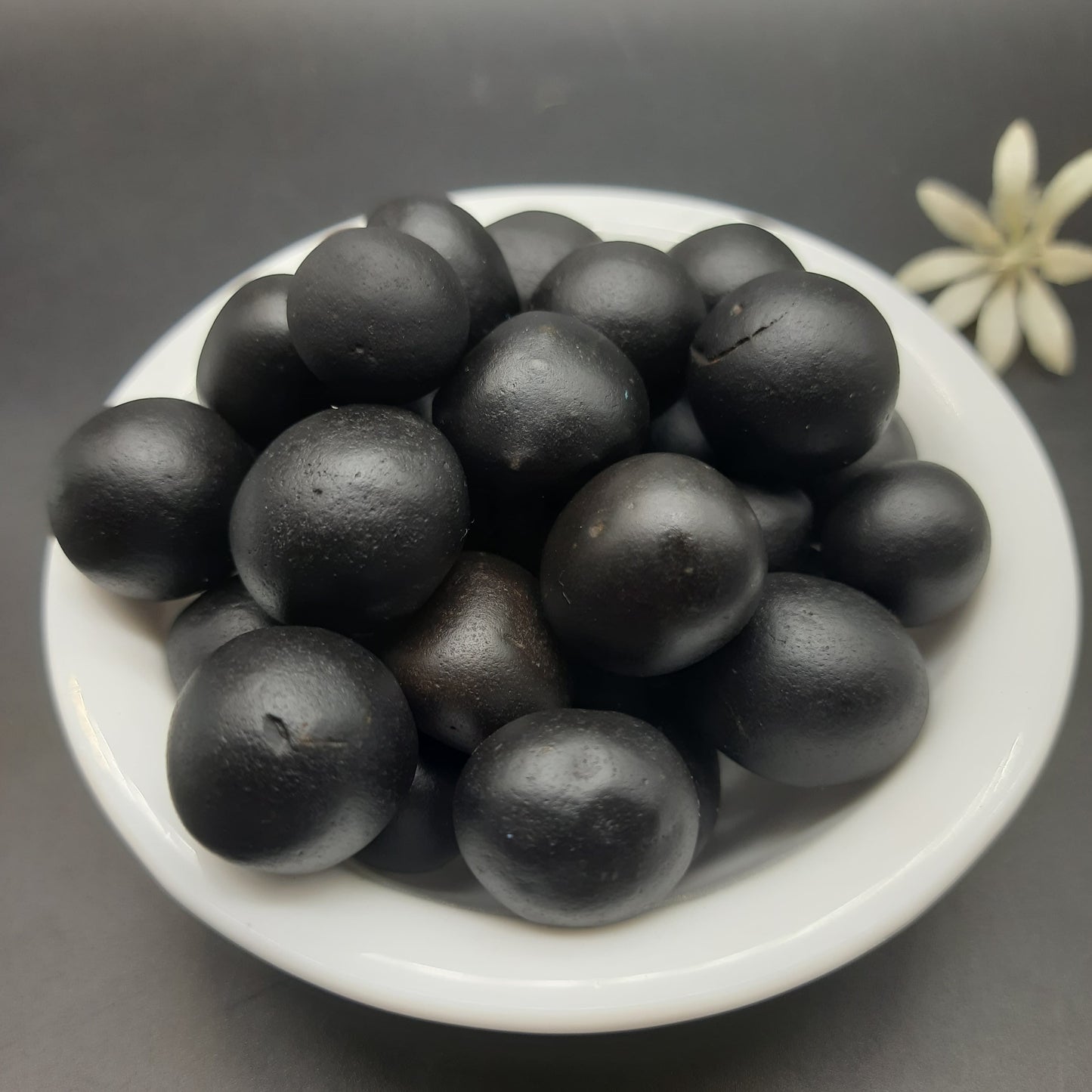 Small Gopal Shaligram for Donation - from Gandaki River Nepal 15-30mm