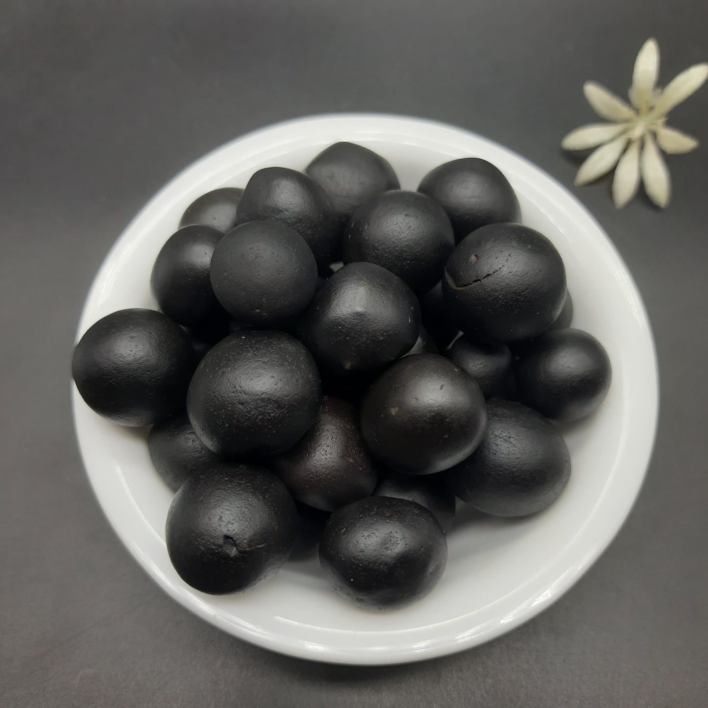 Small Gopal Shaligram for Donation - from Gandaki River Nepal 15-30mm