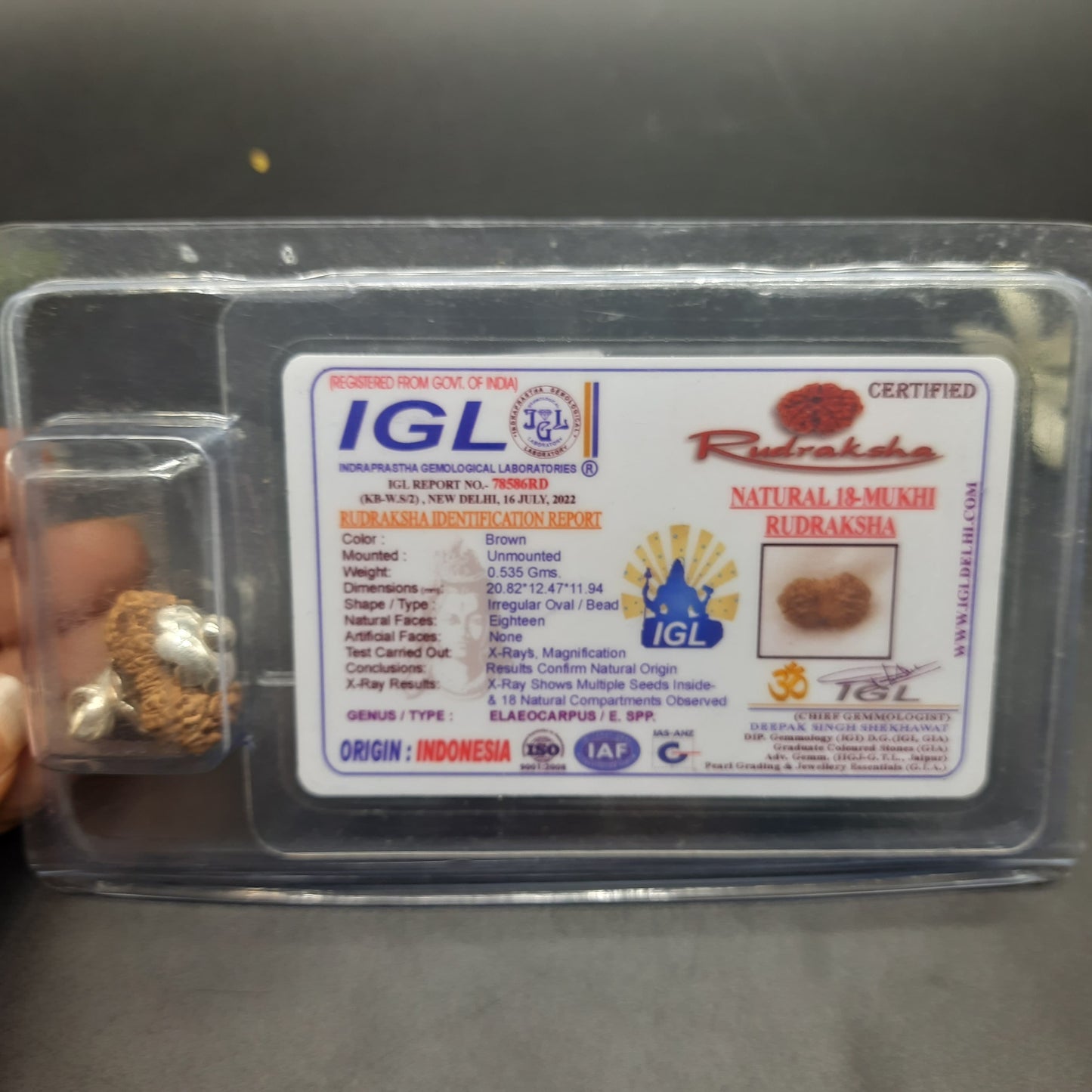 18 Mukhi Collector Java Rudraksha With Pure Silver Pendant | IGL lab Certified | 20.82mm