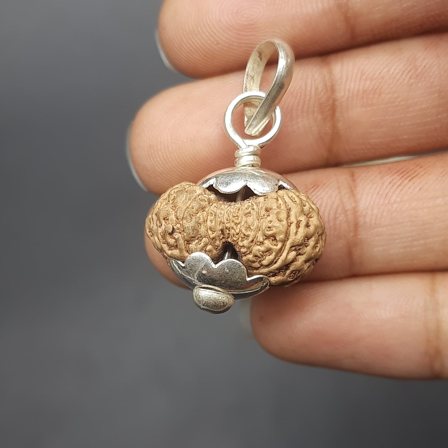 18 Mukhi Collector Java Rudraksha With Pure Silver Pendant | IGL lab Certified | 20.82mm