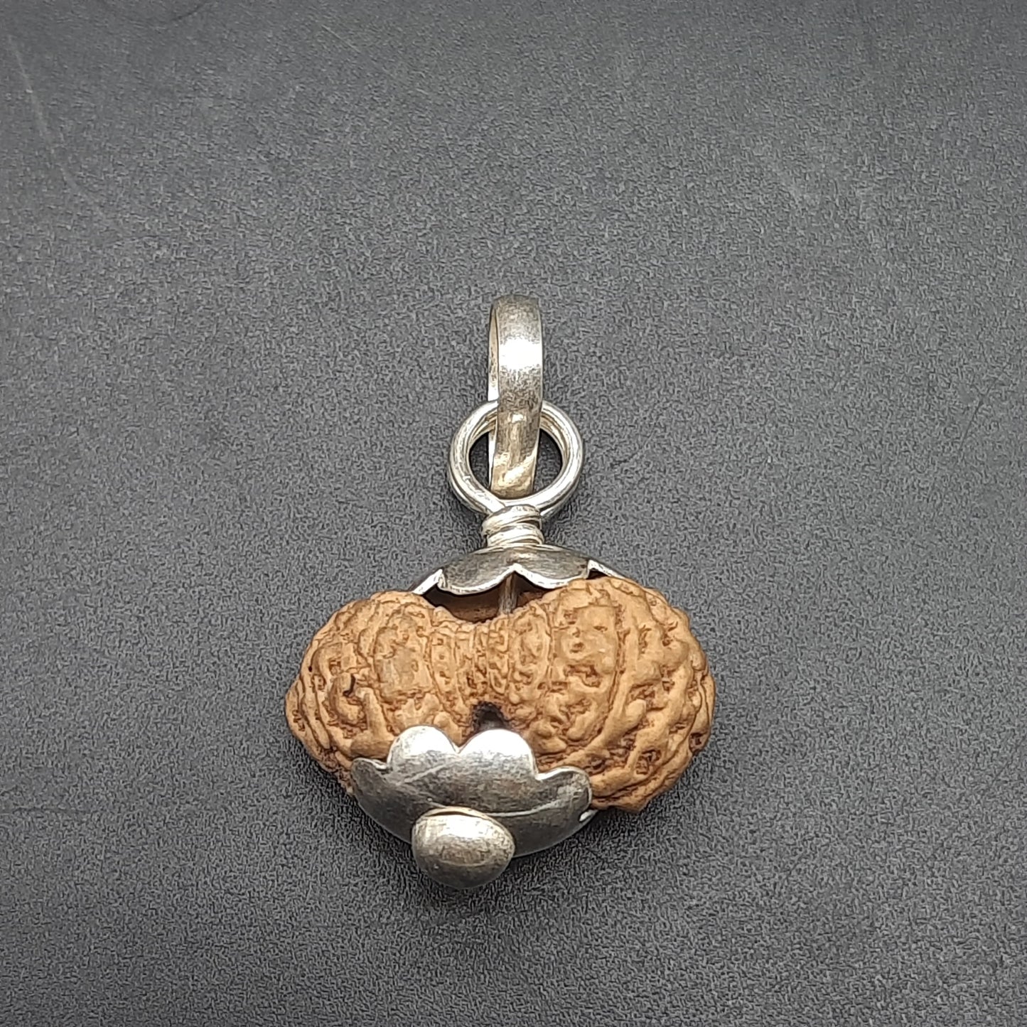 18 Mukhi Collector Java Rudraksha With Pure Silver Pendant | IGL lab Certified | 20.82mm