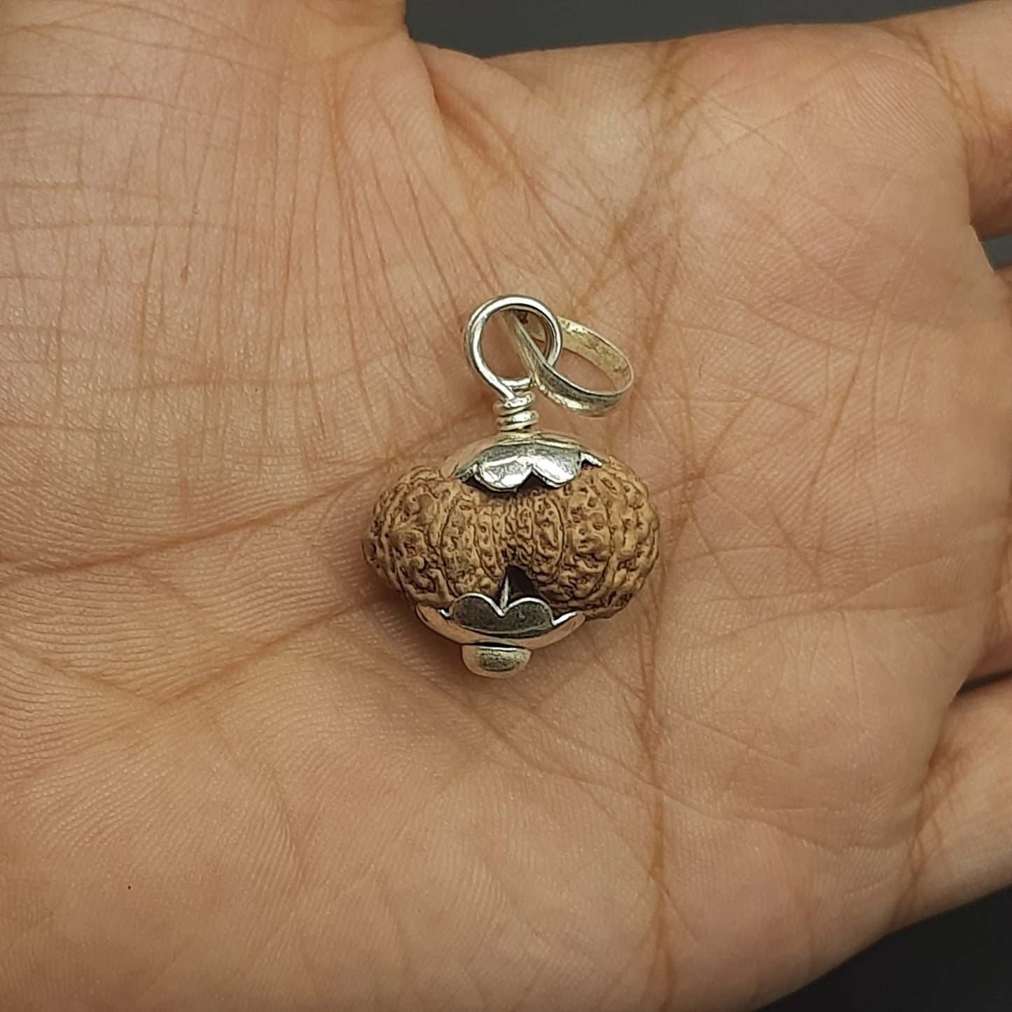 18 Mukhi Collector Java Rudraksha With Pure Silver Pendant | IGL lab Certified | 20.82mm