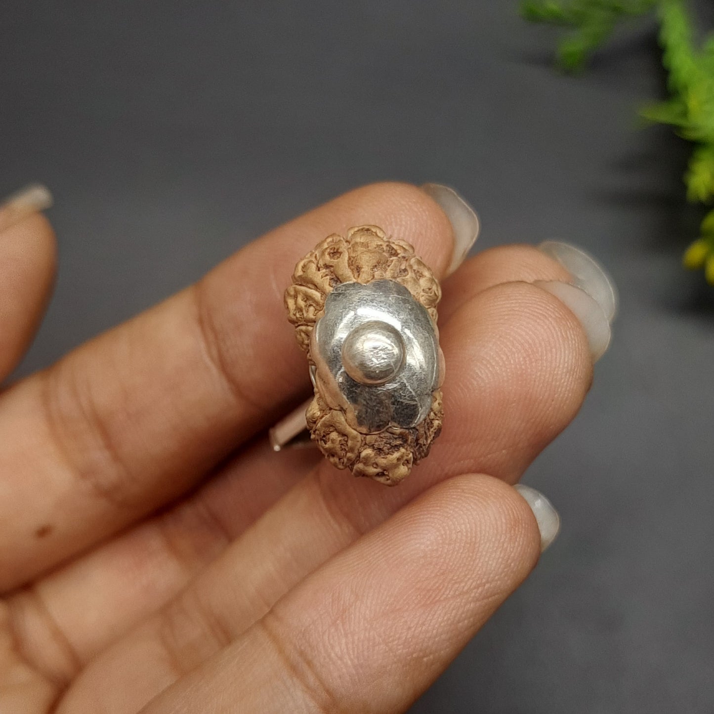 18 Mukhi Collector Java Rudraksha With Pure Silver Pendant | IGL lab Certified | 20.82mm