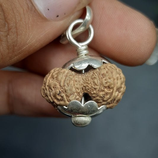 18 Mukhi Collector Java Rudraksha With Pure Silver Pendant | IGL lab Certified | 20.82mm