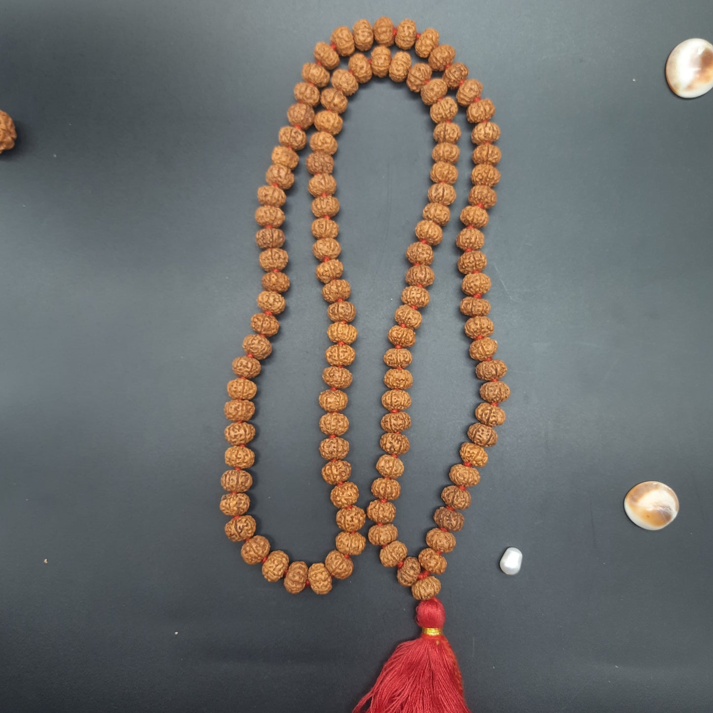 6 Mukhi Six Face Java Pathri Rudraksha Mala 8-10mm 108+1 Beads