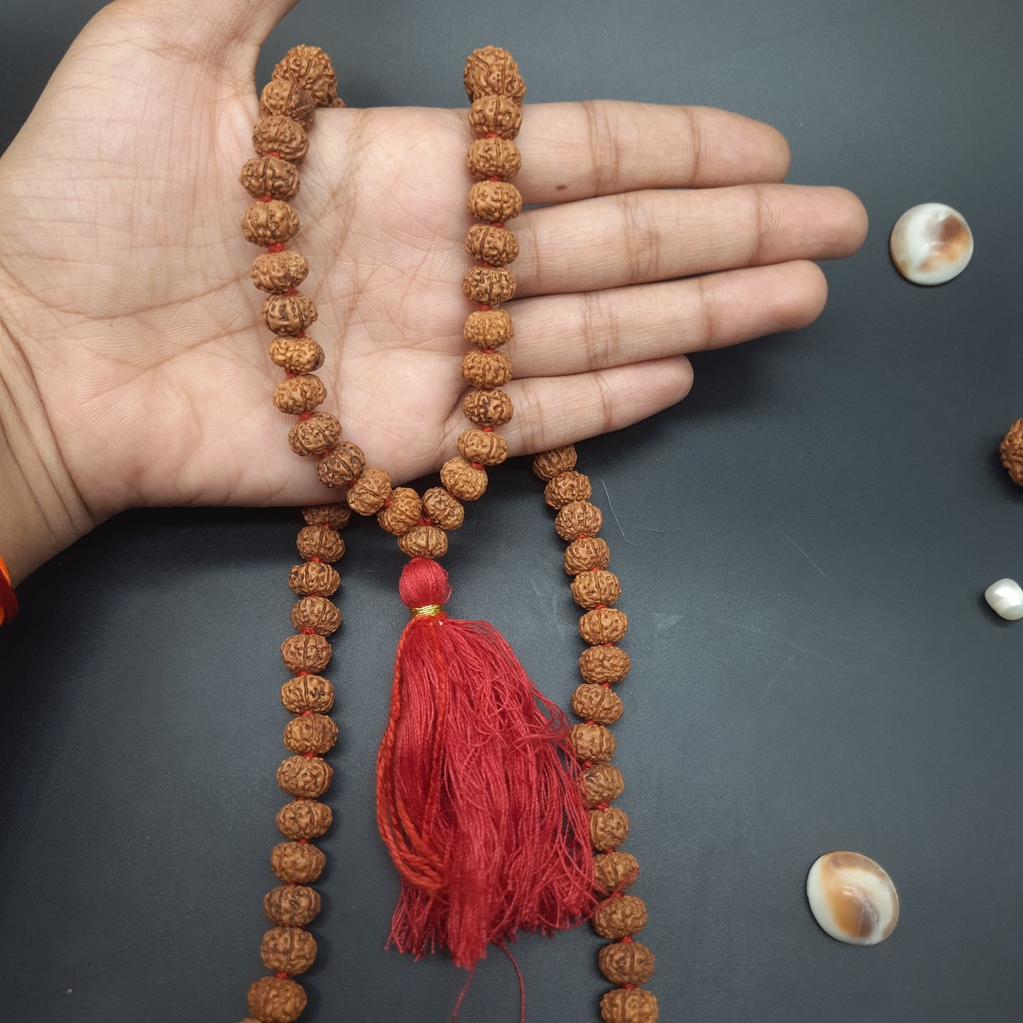 6 Mukhi Six Face Java Pathri Rudraksha Mala 8-10mm 108+1 Beads