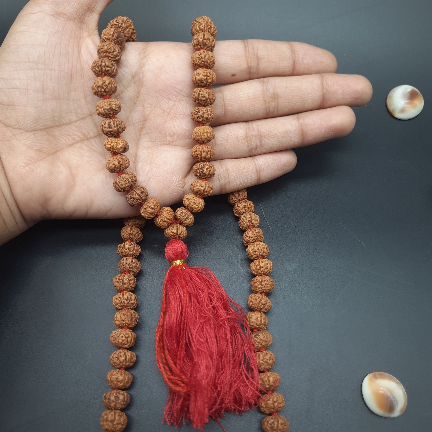 6 Mukhi Six Face Java Pathri Rudraksha Mala 8-10mm 108+1 Beads