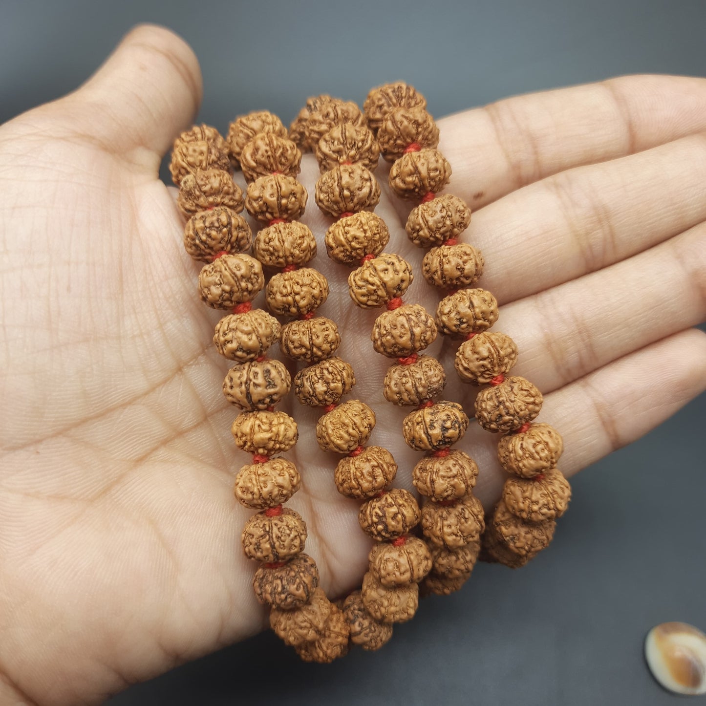 6 Mukhi Six Face Java Pathri Rudraksha Mala 8-10mm 108+1 Beads