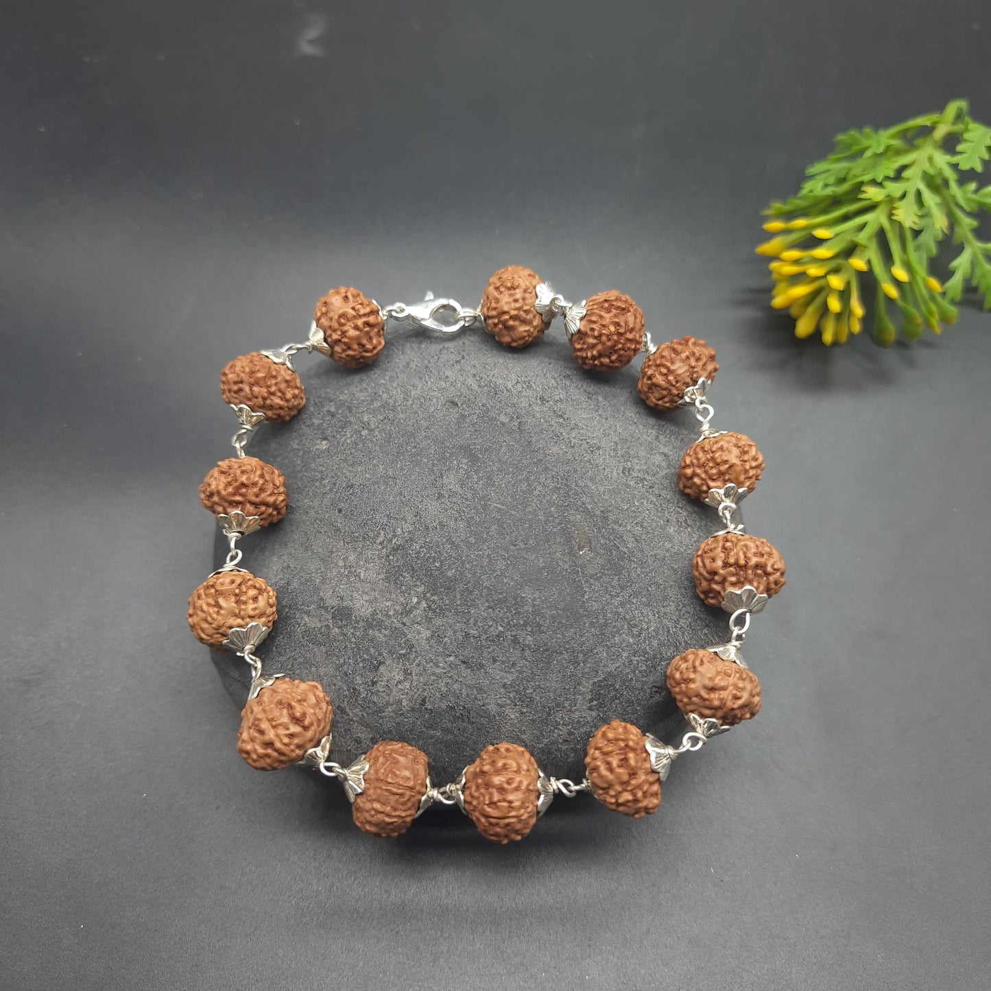 7 Mukhi / Face Java Rudraksha Bracelet with Pure Silver | 11-13mm