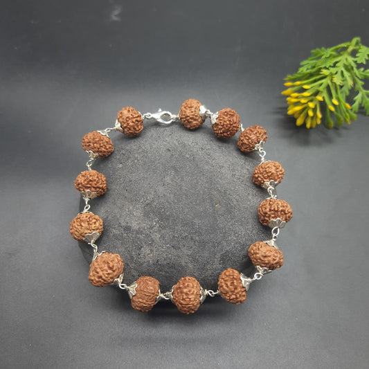 7 Mukhi / Face Java Rudraksha Bracelet with Pure Silver | 11-13mm