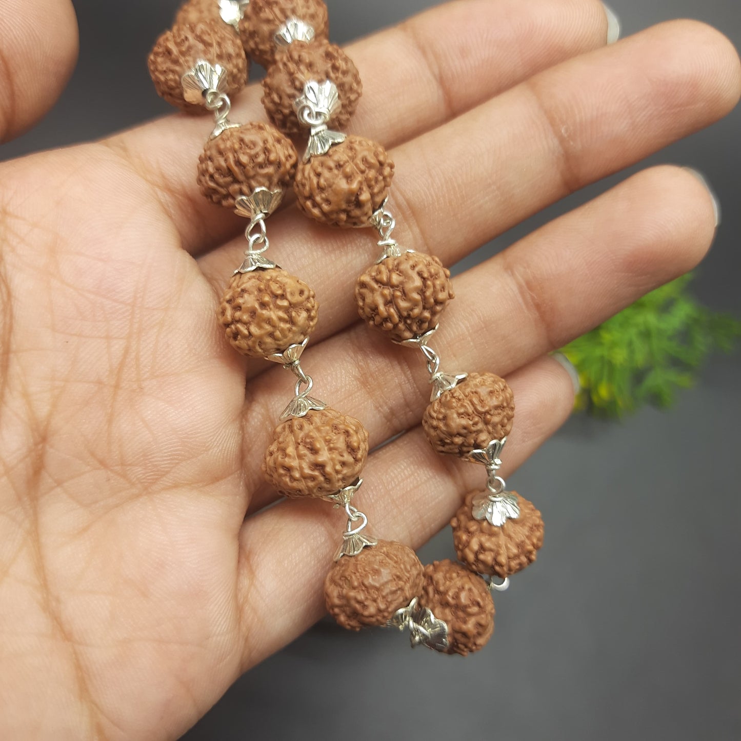 7 Mukhi / Face Java Rudraksha Bracelet with Pure Silver | 11-13mm