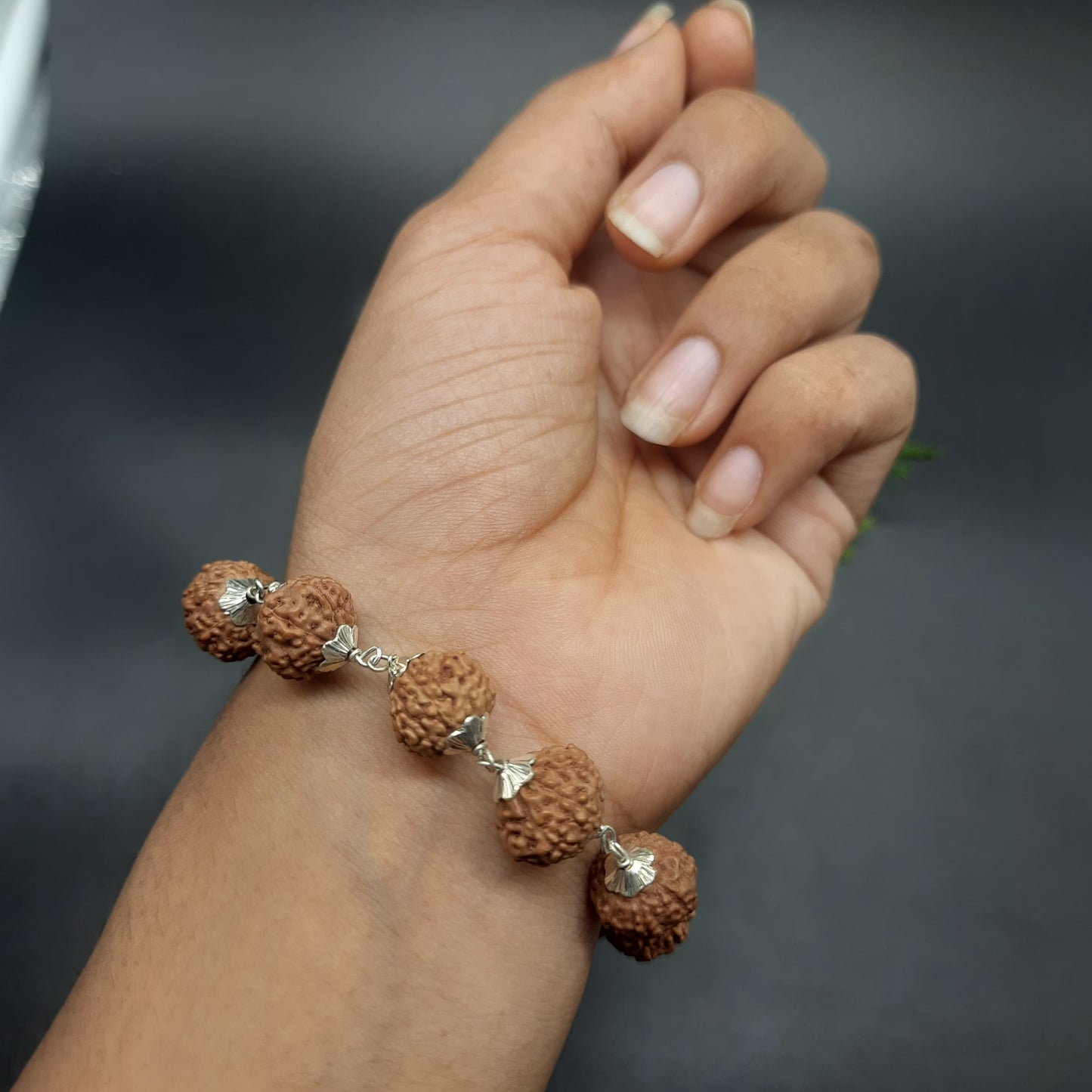 7 Mukhi / Face Java Rudraksha Bracelet with Pure Silver | 11-13mm