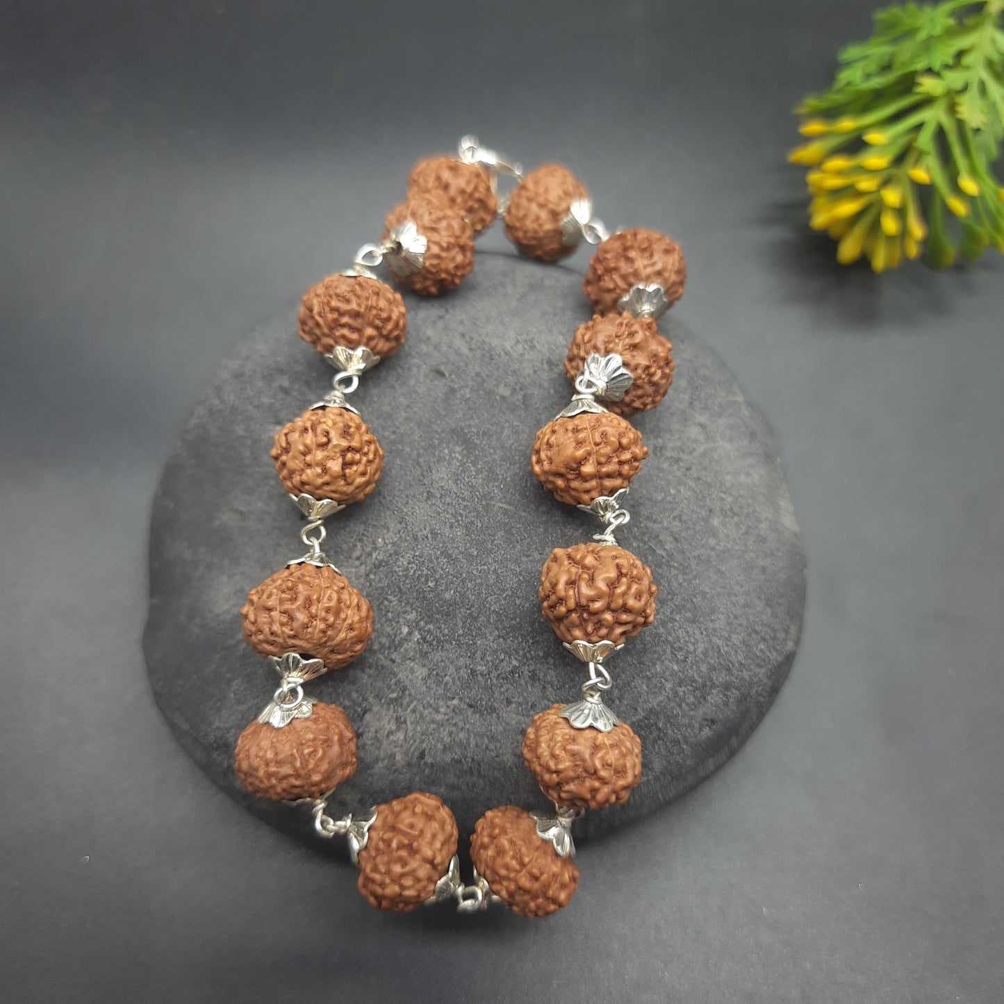 7 Mukhi / Face Java Rudraksha Bracelet with Pure Silver | 11-13mm