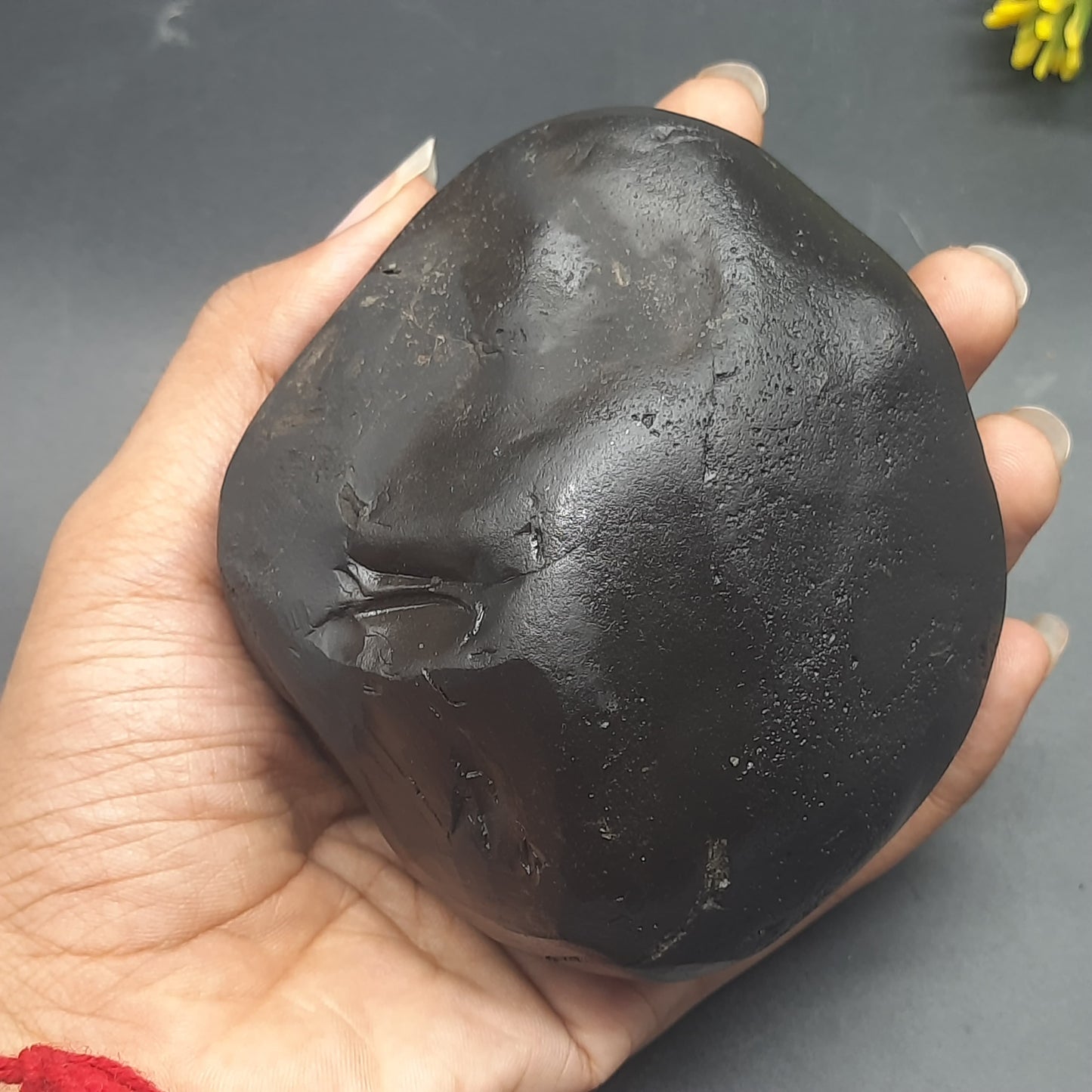 Natural Sudarshan Shaligram For Home, Office or Temple | Sourced from Gandaki River, Nepal 620-630 grams