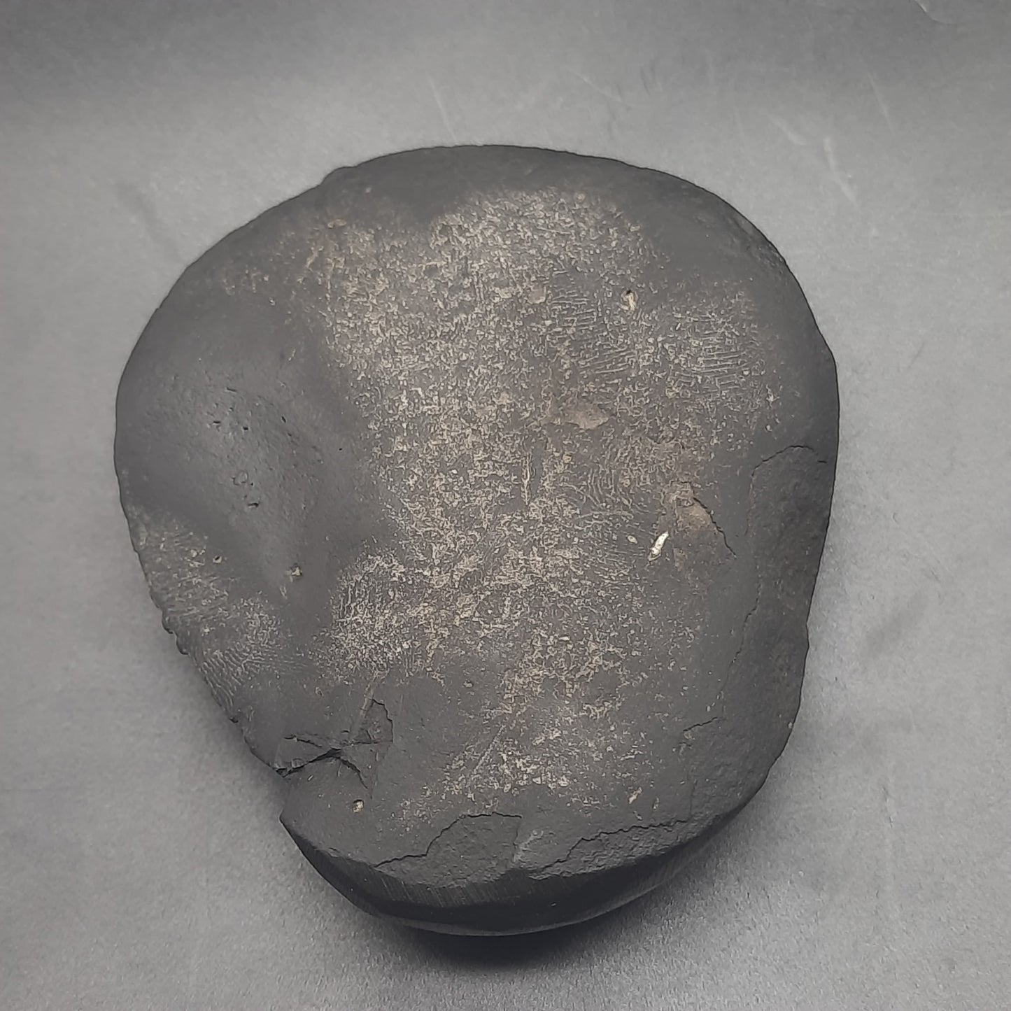 Natural Sudarshan Shaligram For Home, Office or Temple | Sourced from Gandaki River, Nepal 190-200 grams