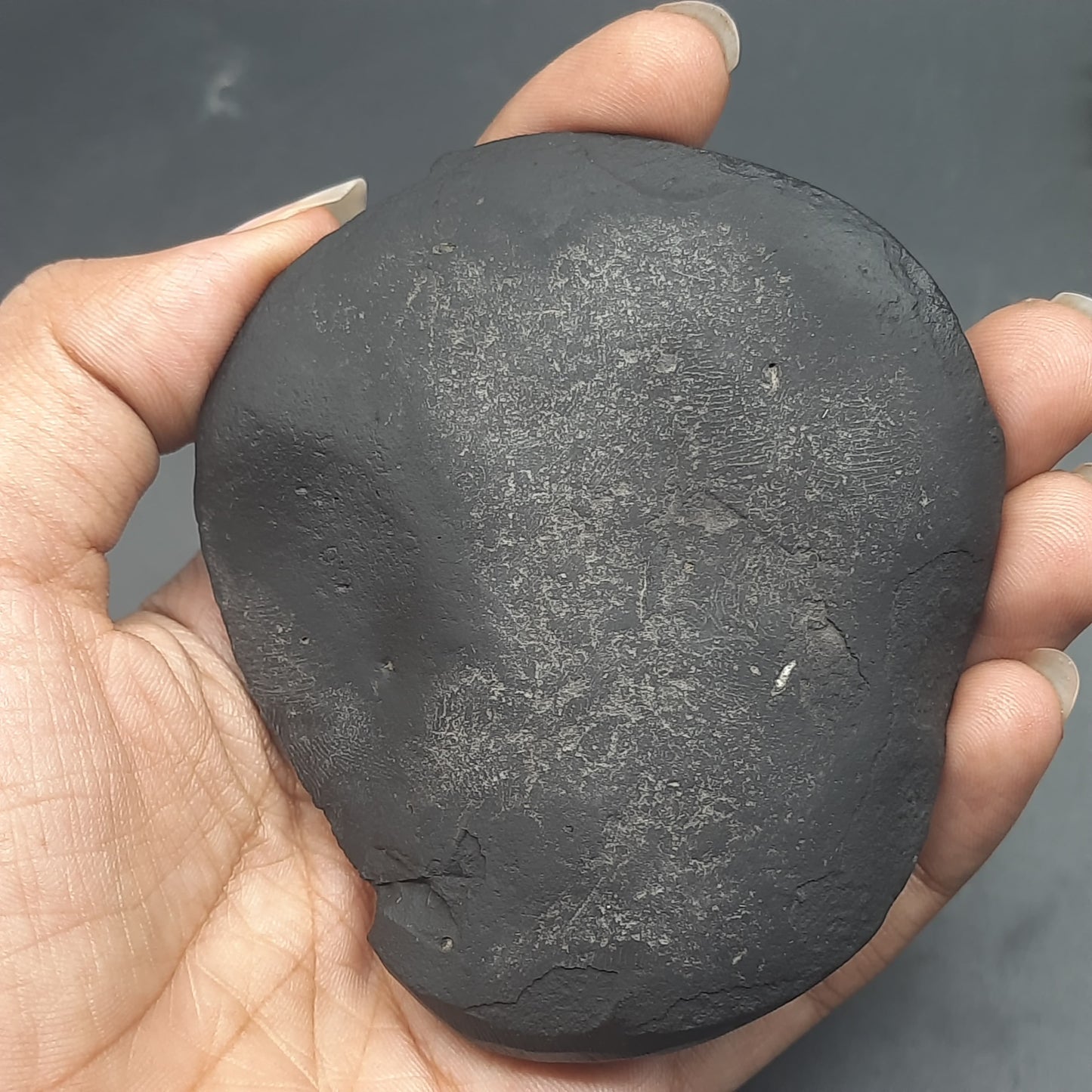Natural Sudarshan Shaligram For Home, Office or Temple | Sourced from Gandaki River, Nepal 190-200 grams