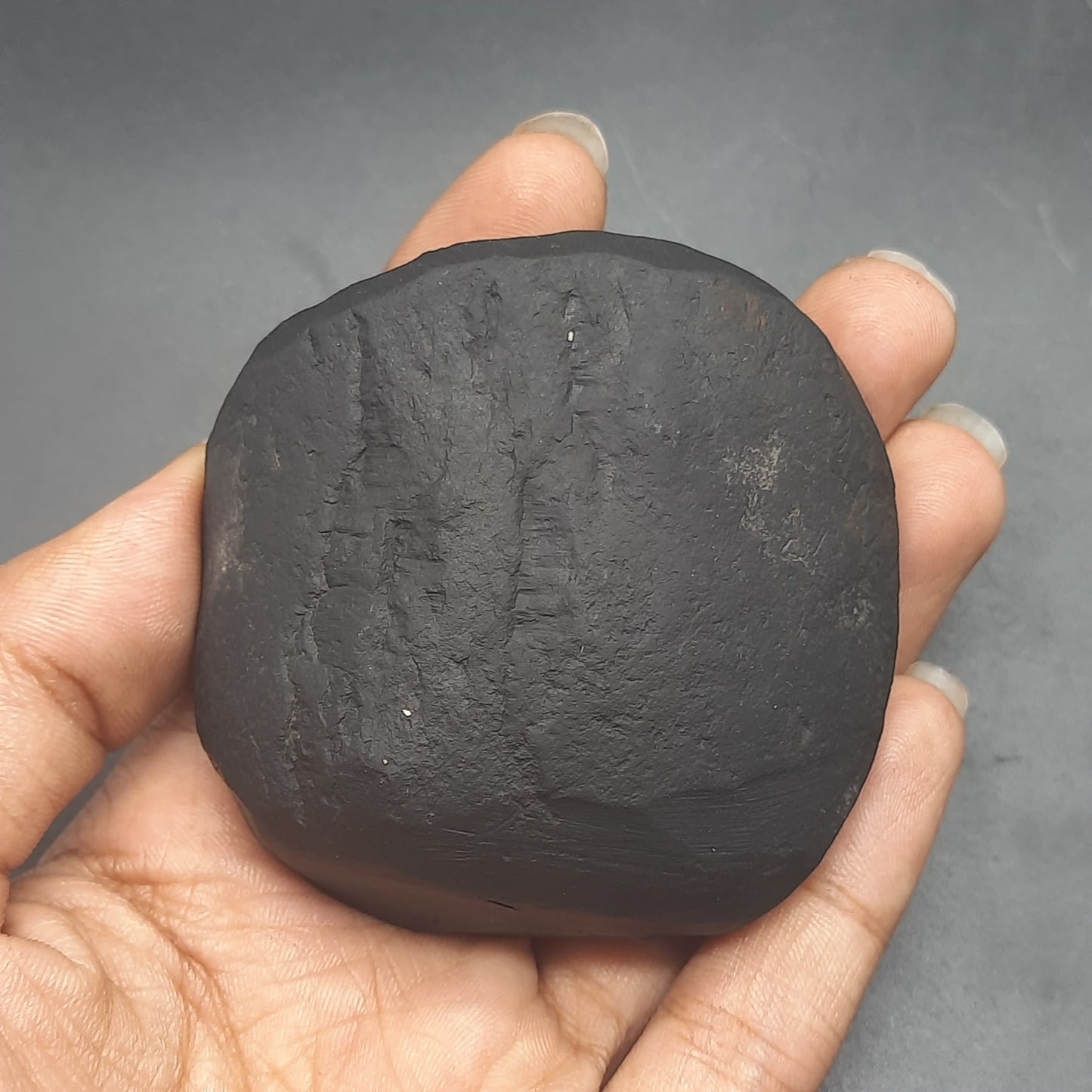 Natural Sudarshan Shaligram For Home, Office or Temple | Sourced from Gandaki River, Nepal 150-160 gram